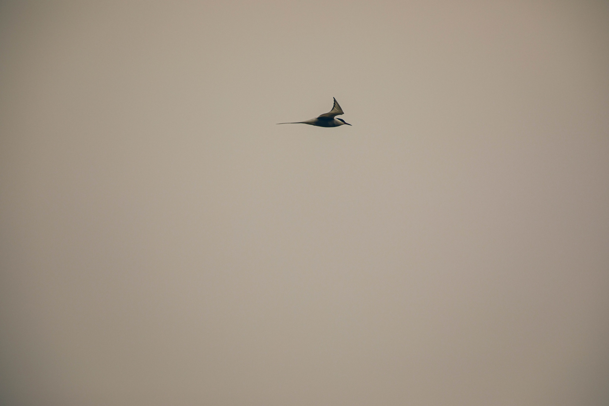 Кольский полуостров. Фотографирую для себя, своей семьи и друзей!