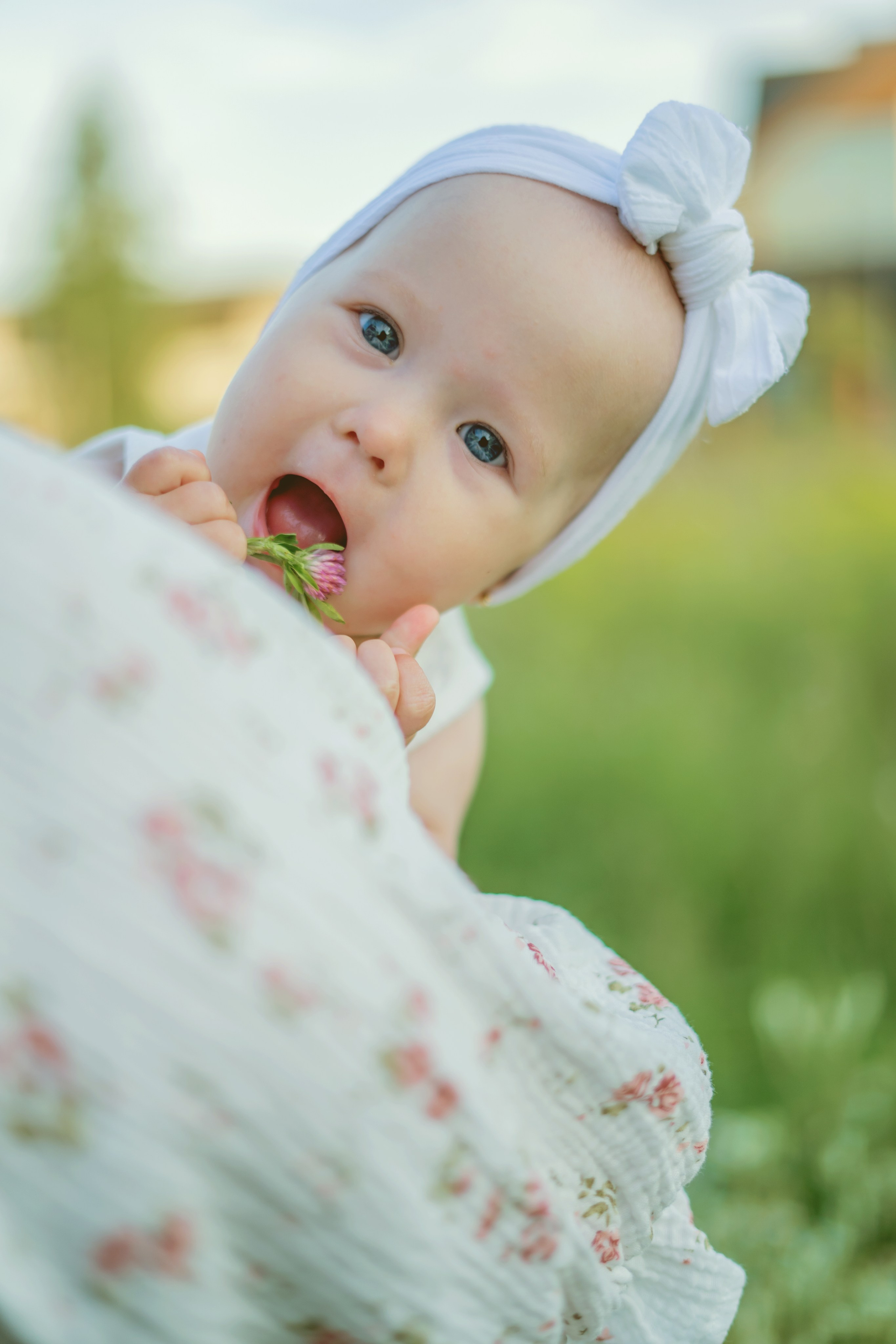 Пикник на природе. Семейный и детский фотограф Зеленоград Кудашова Наиля