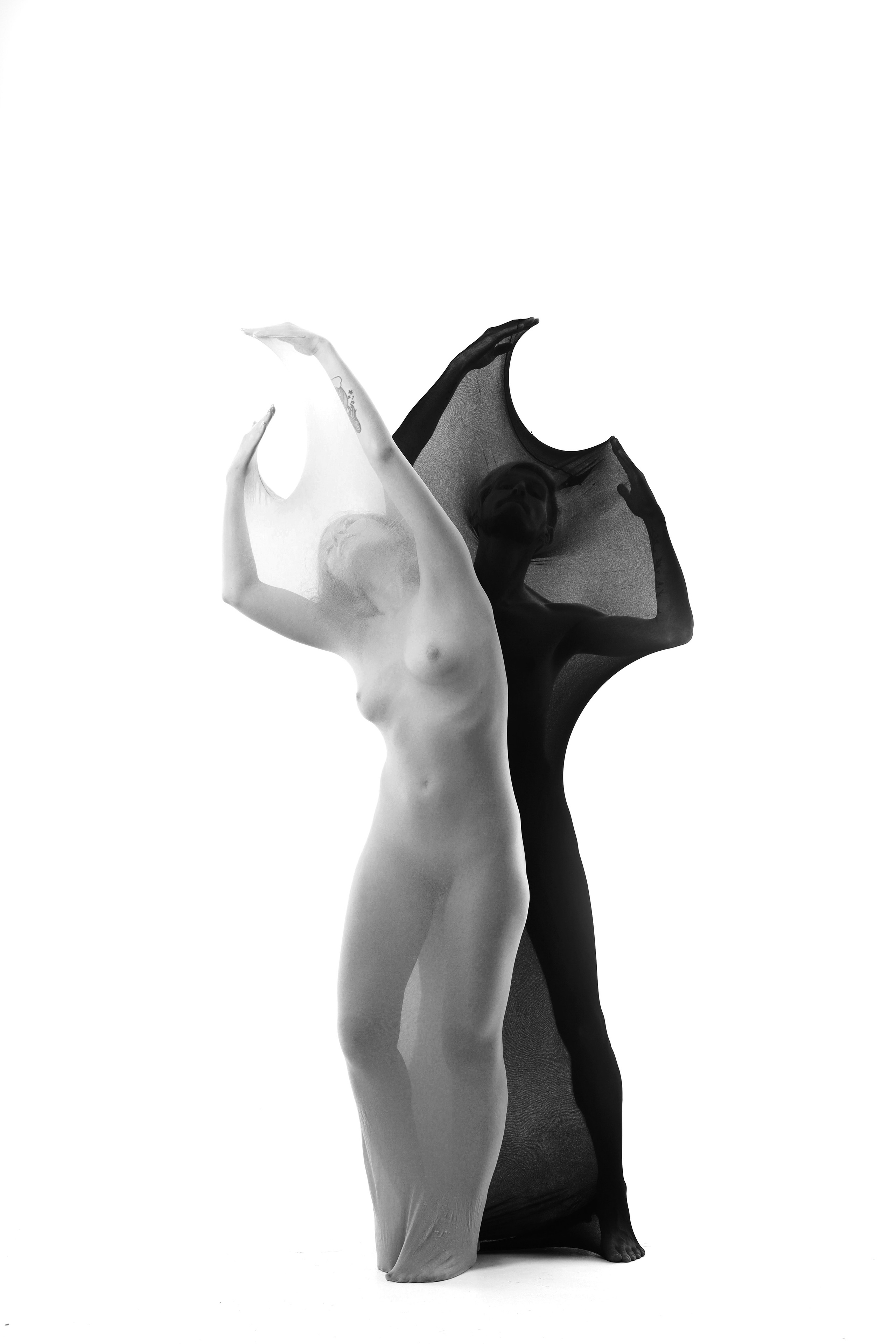 PDSM (Model Couple). PDSM Model Couple