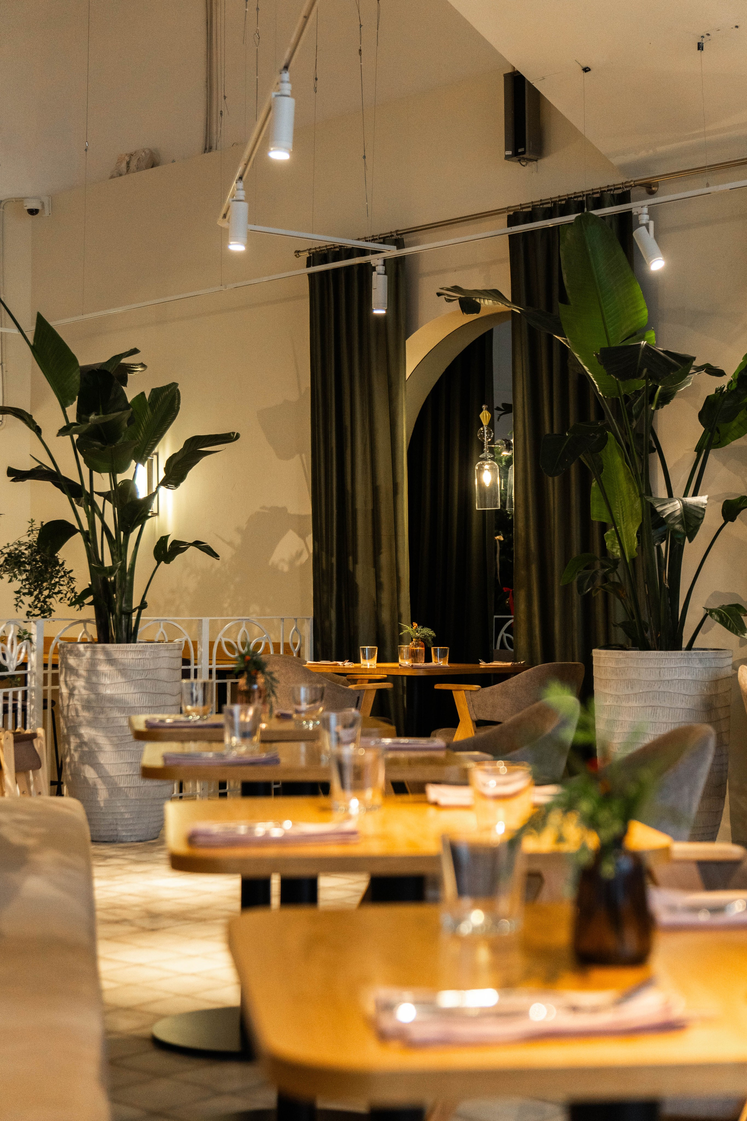 Кафе Lamitie Лужники. Фото и видео съёмка в Москве и МО Александр Чапала и Трояк Алеся