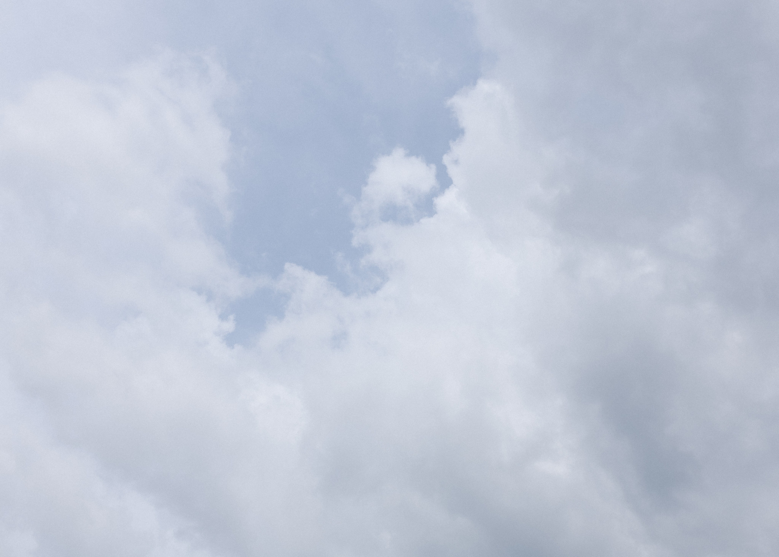 Яна и Сергей. Фотограф Вышний Волочек/Тверь/Москва/Санкт-Петербург