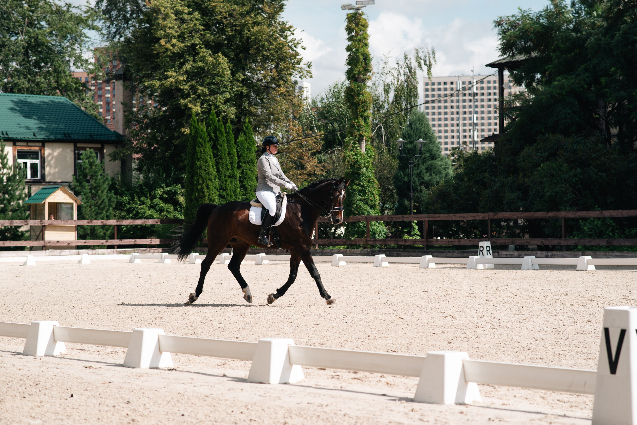 Выездка 10.08.25. Фотограф, визажист. Москва