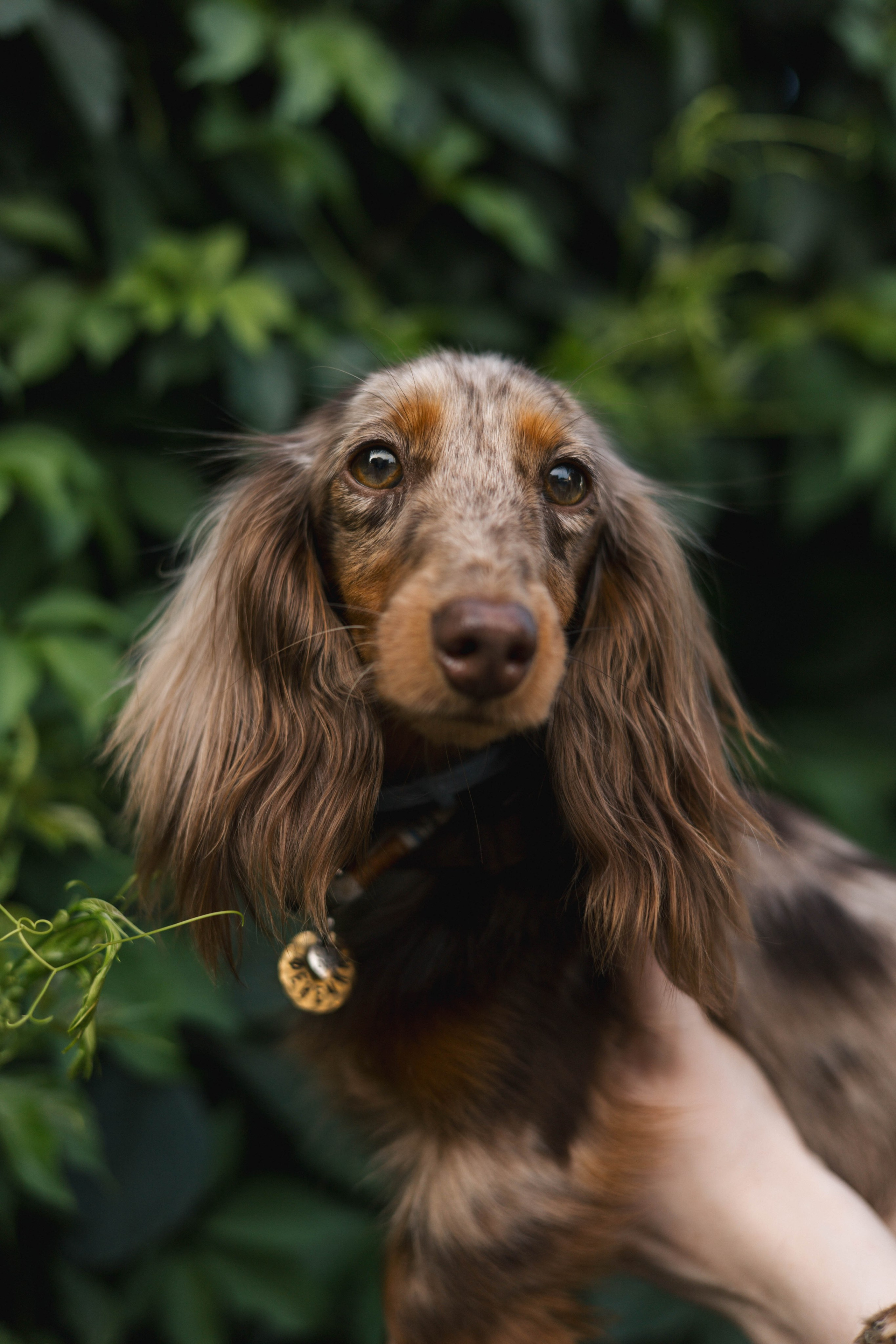 Lovestory. Свадебный фотограф в Москве Александра Соболева |Weddings, people, travel, etc
