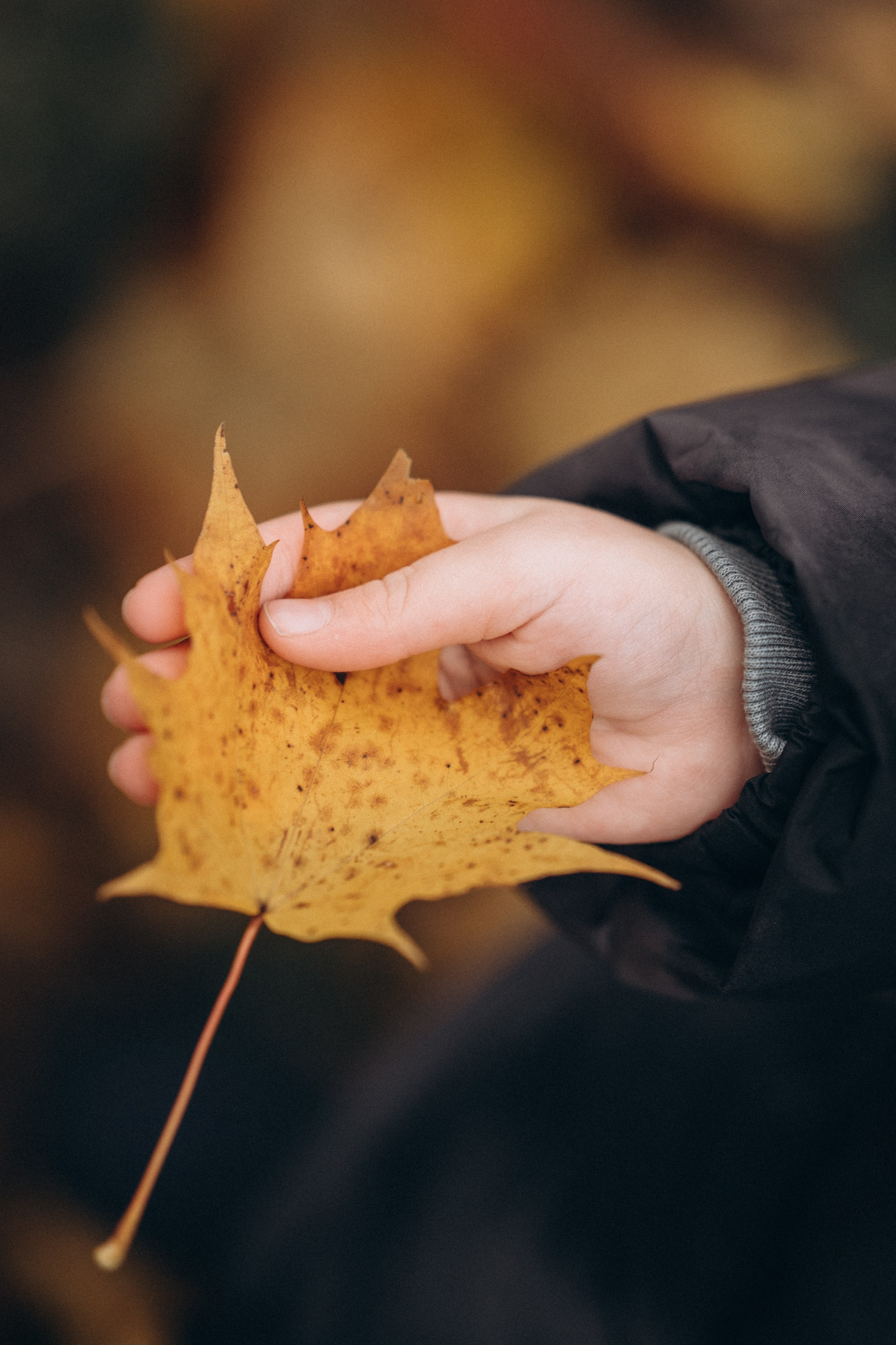 Владимир, Мария и Лёва. Фотограф Горбенко Анна