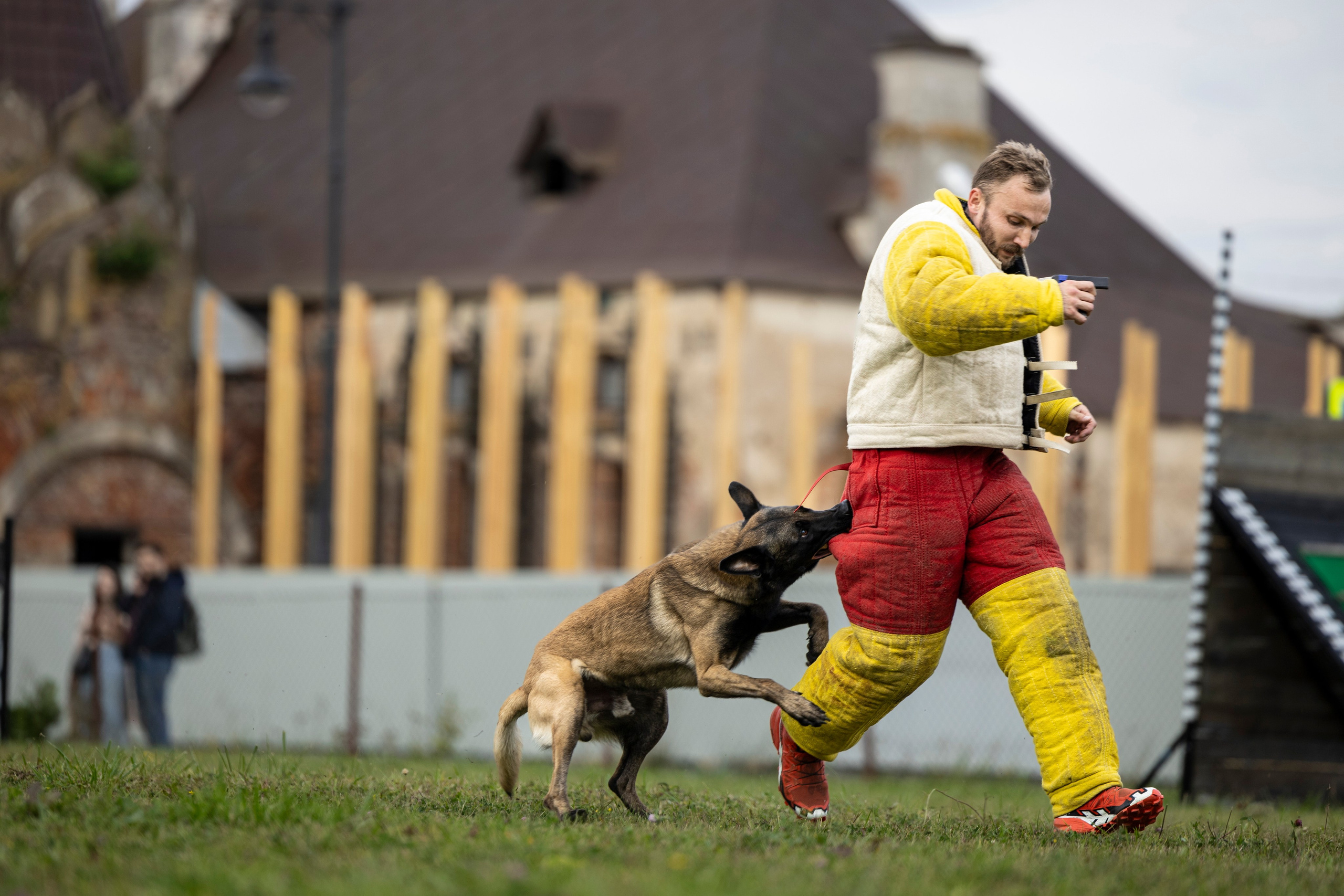 Испытания по Мондьорингу г. Пушкин. Фотограф-анималист Анна Маринич