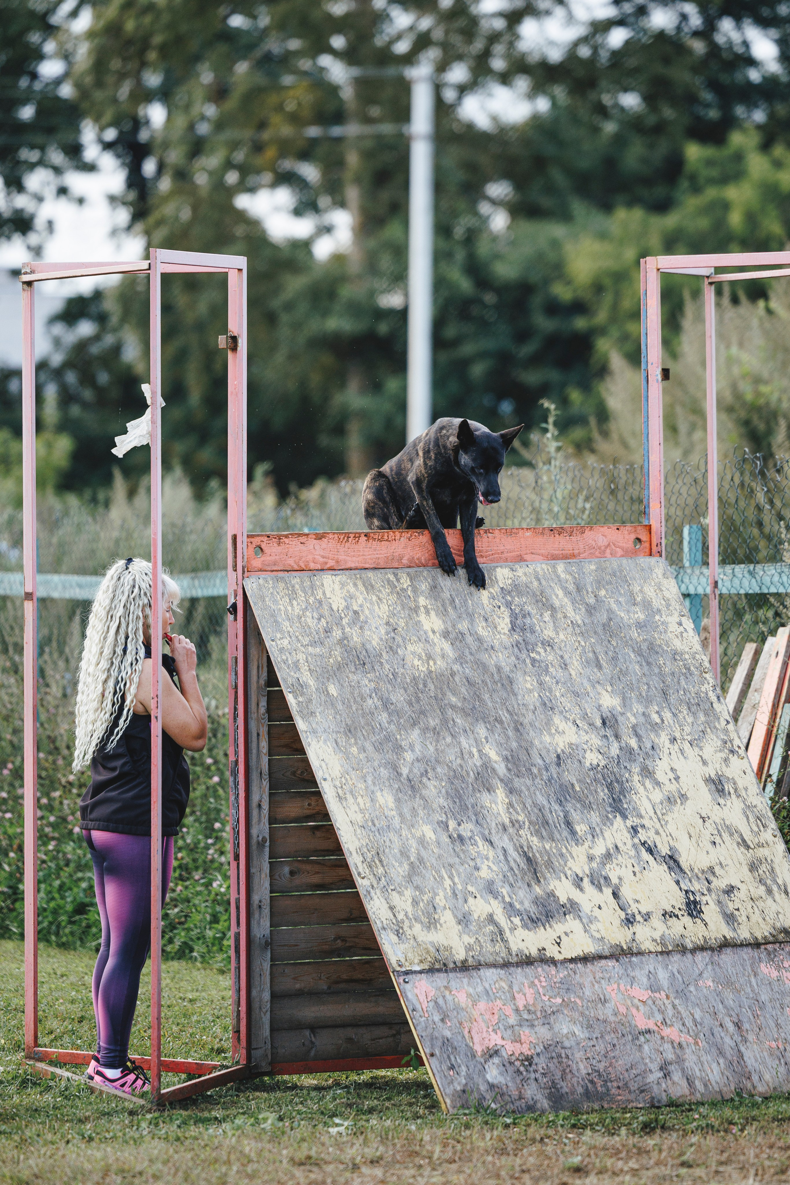 08.08.25-10.08.25 ЧР по мондьорингу г. Вологда. Фотограф-анималист Анна Маринич