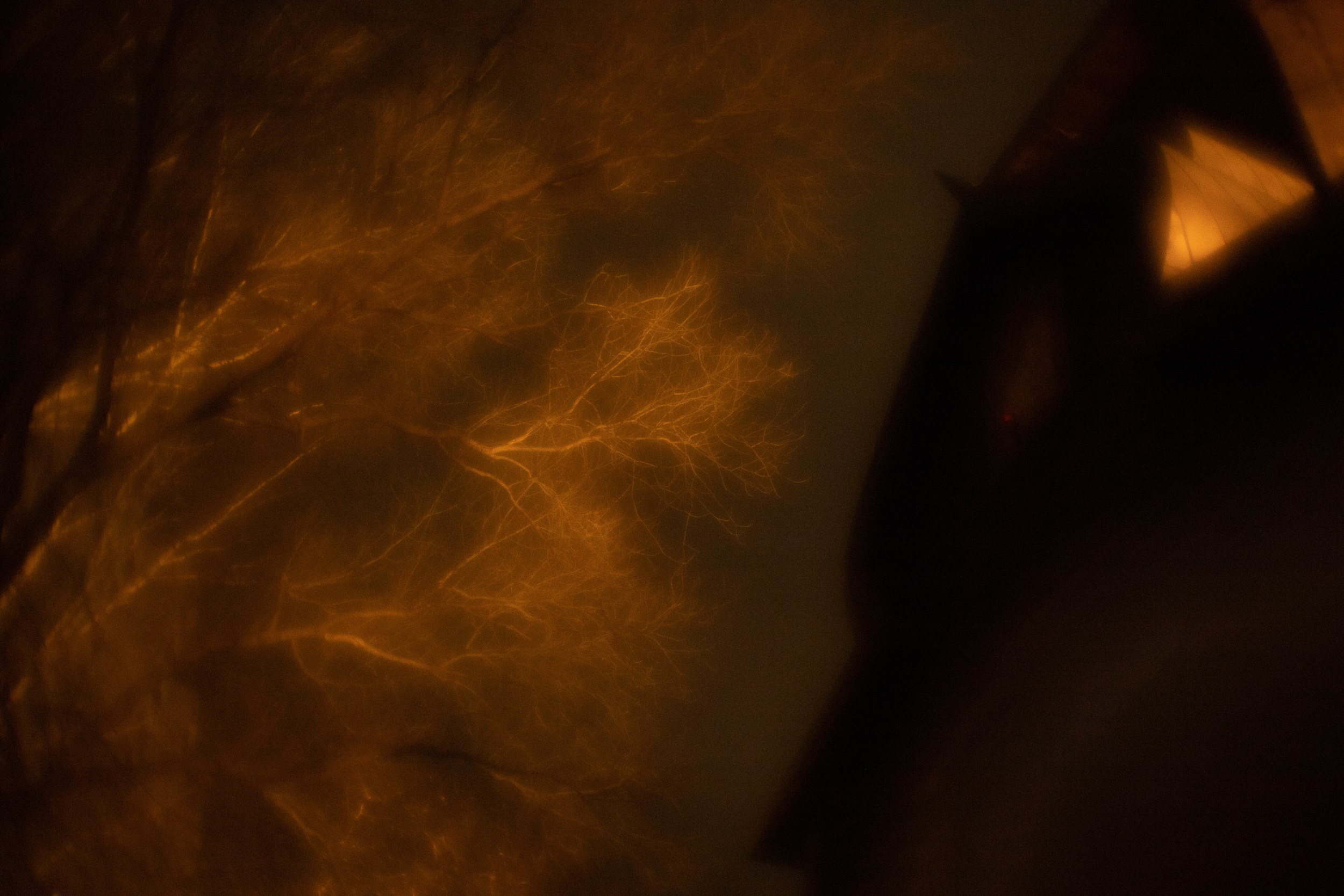 МОНОКЛЬ. Фотограф в Москве Татьяна Макотра