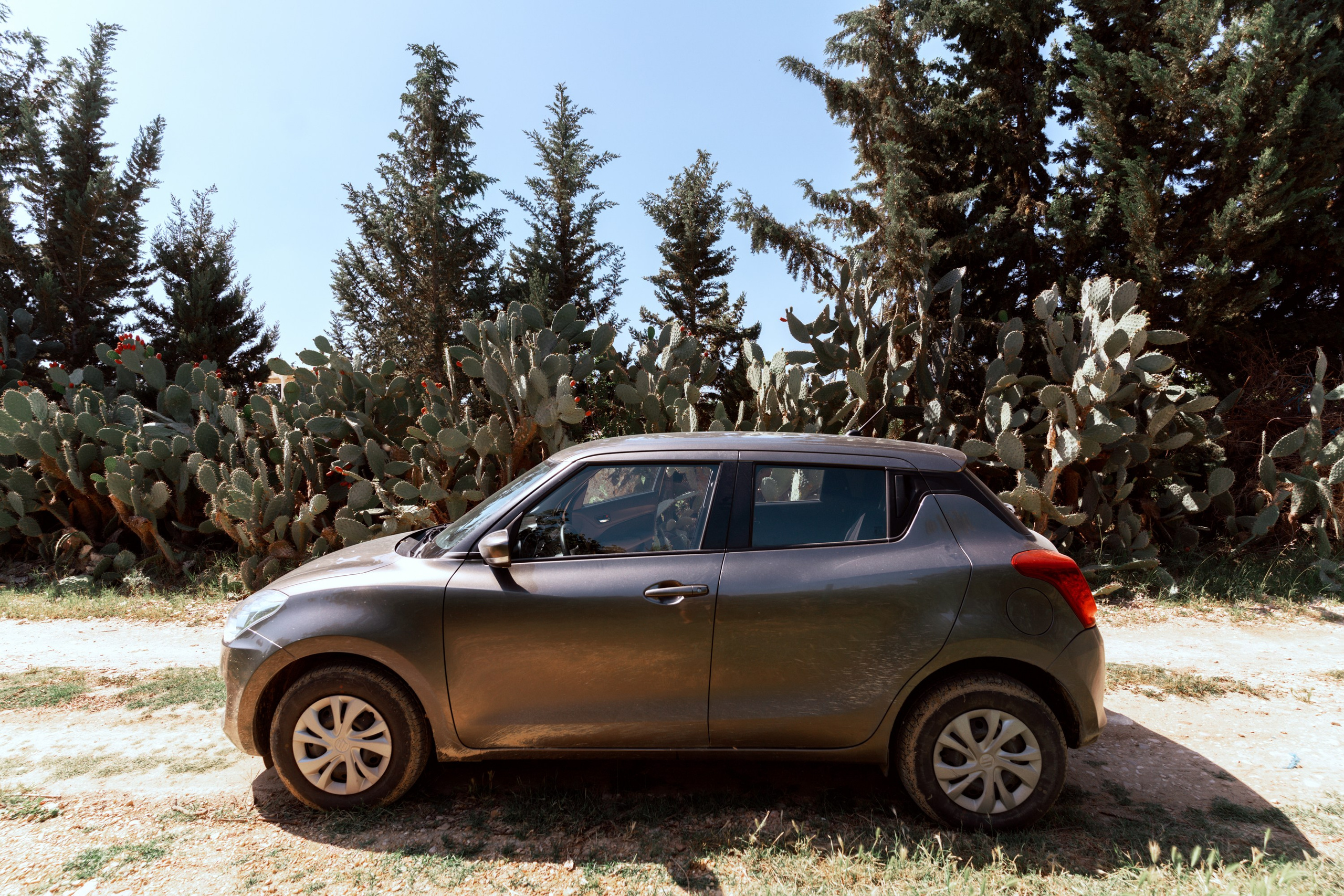 Северная Африка: Тунис, Марокко. Фотограф в Хабаровске. Фотография за 24 часа