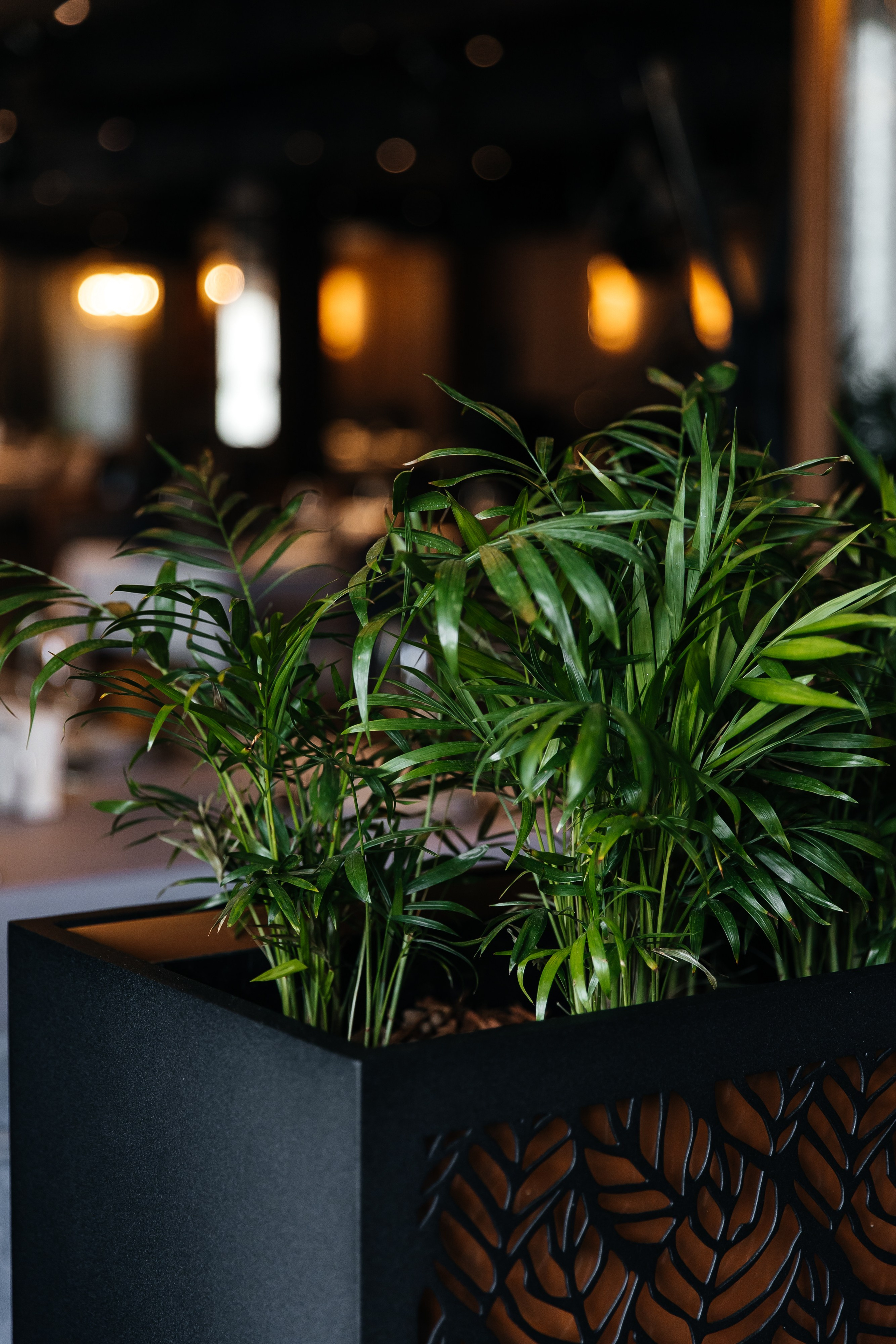 Fusion Club. Фотограф Елена Краснопевцева