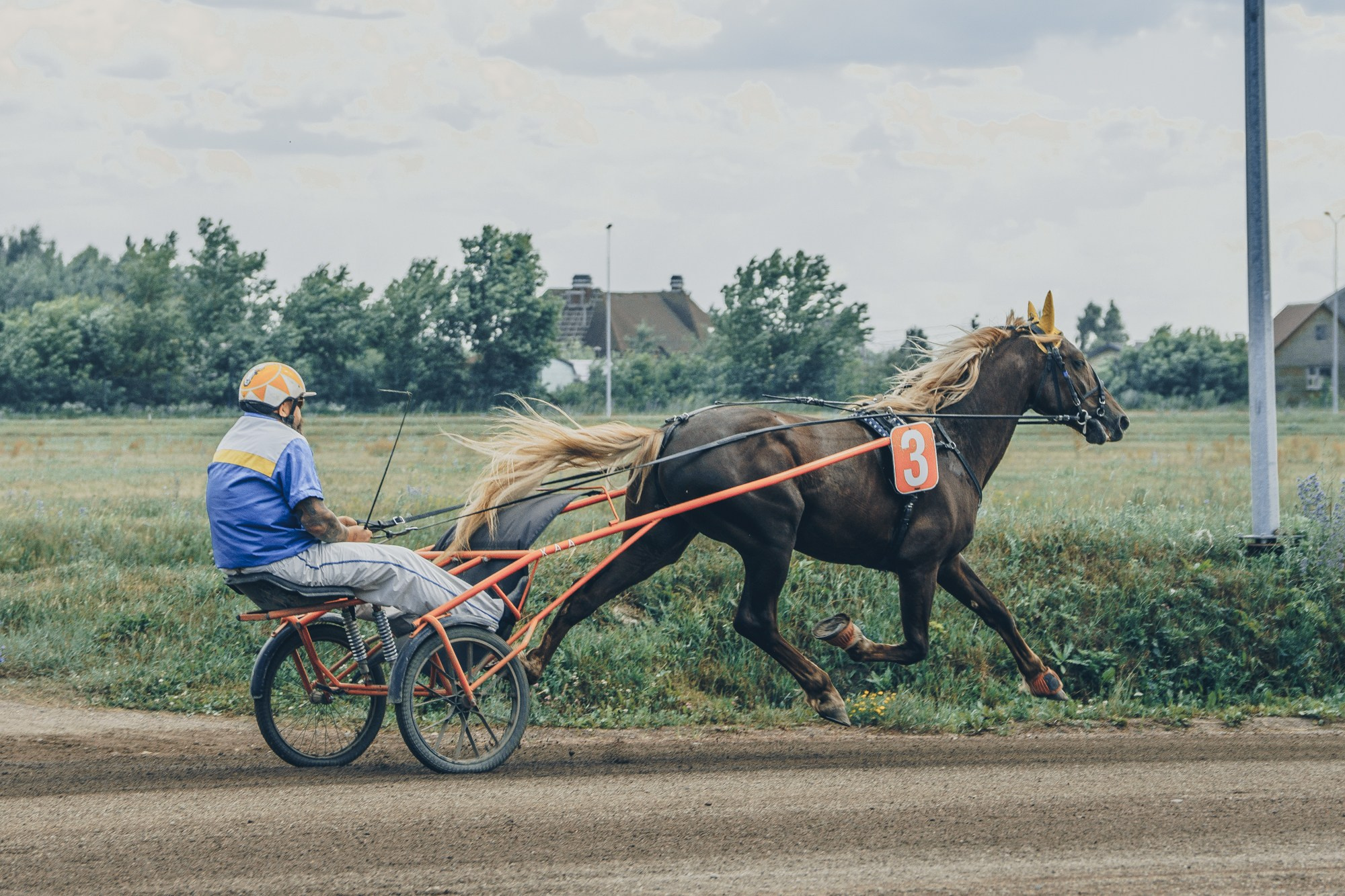 Раменский ипподром. Фотограф Яна Журавская Спб / Москва