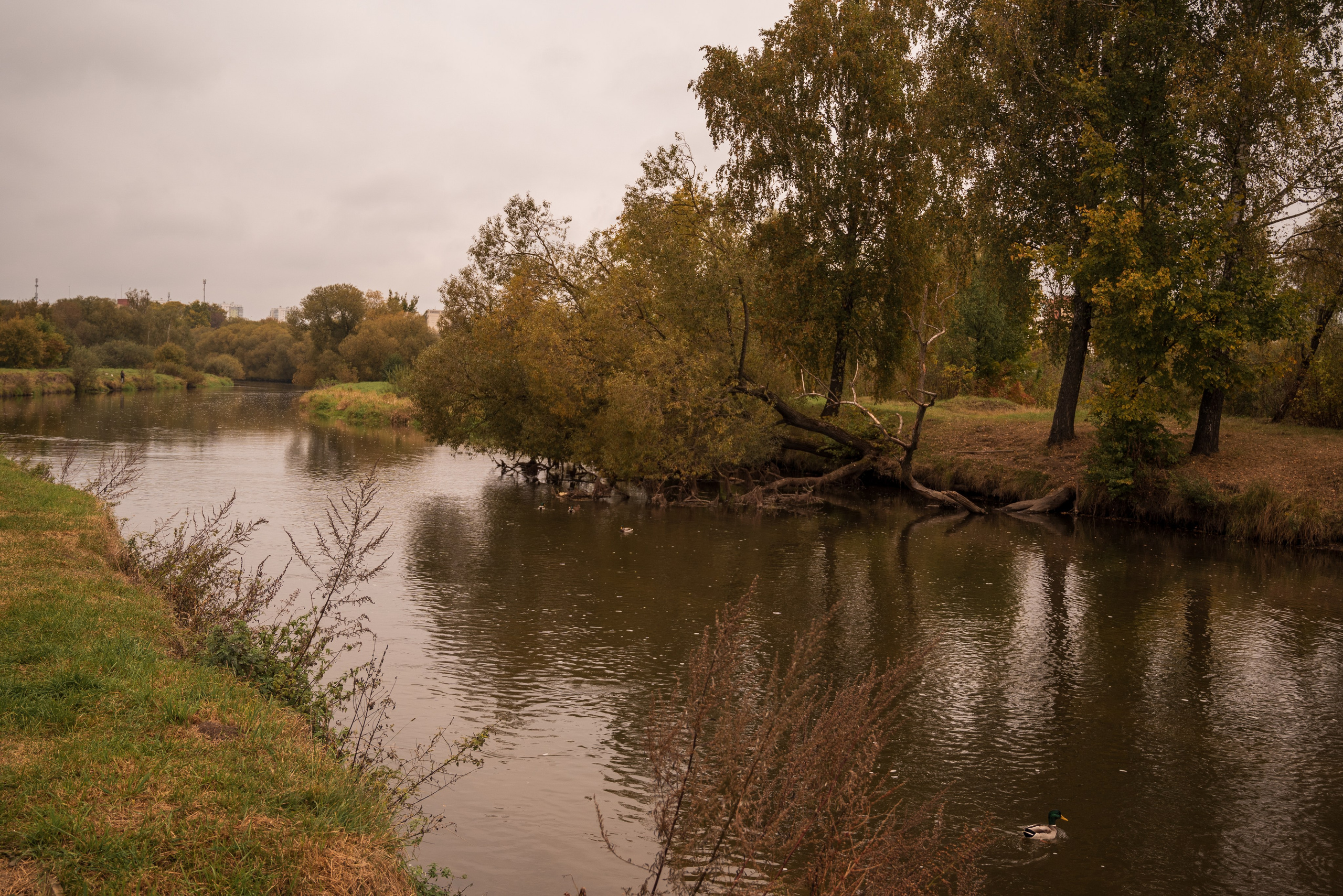 Места. Фотограф в Минске Дарья Кончакова