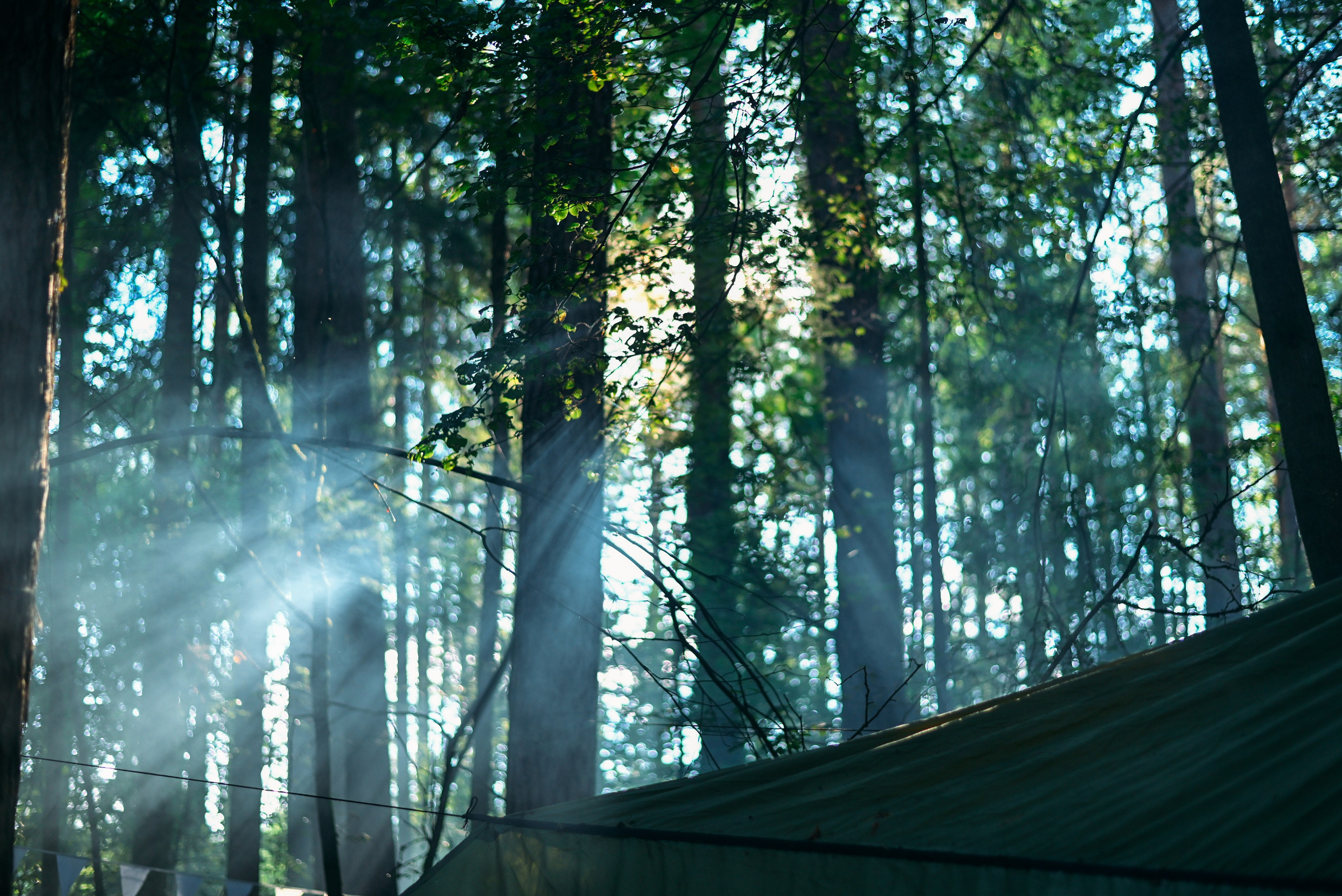 Отзывы. Элька Мурзина