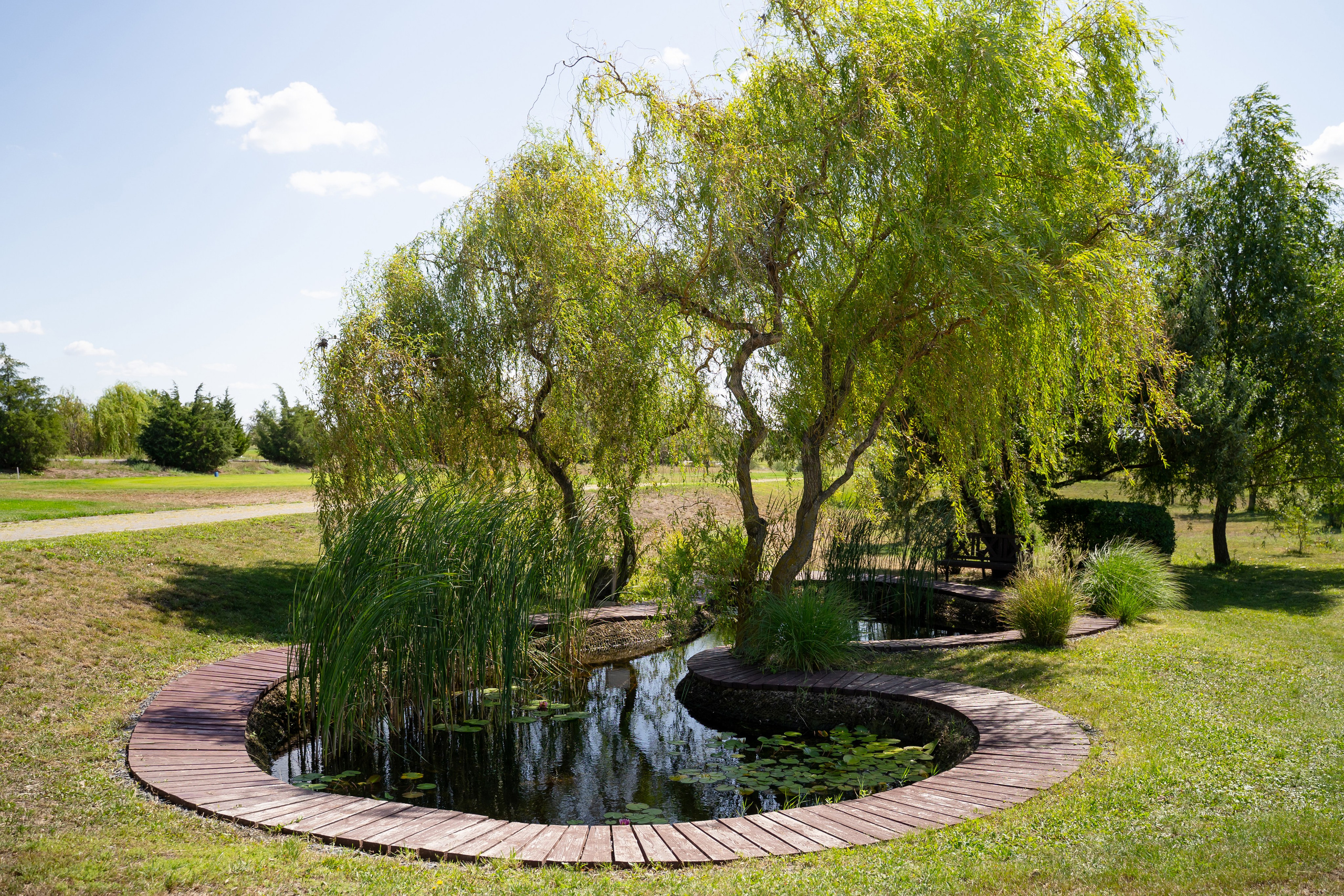 Игорь и Анна. Карпенко Марина свадебный и семейный фотограф Анапа, Краснодар, Геленджик, Сочи, Темрюк