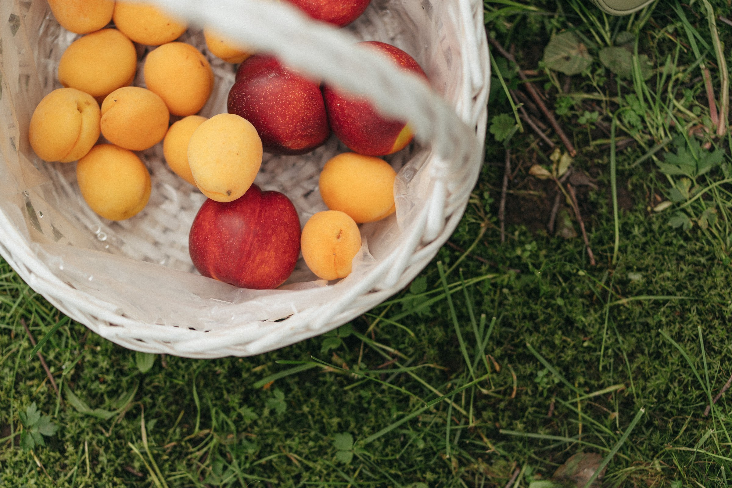 Динозавры. Семейный и контент фотограф в Москве и Троицке Горелова Лизавета