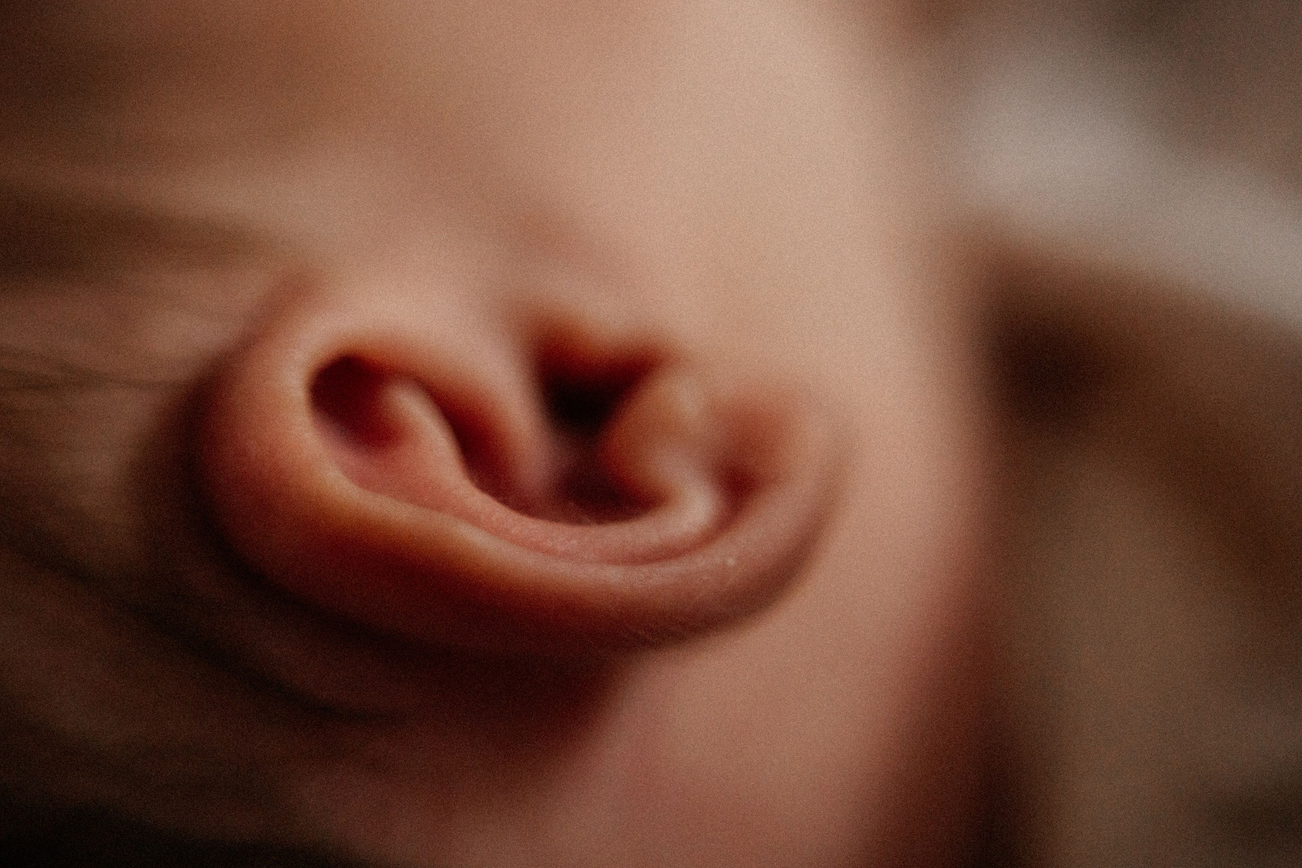 Ева. Семейный фотограф Виктория Потехина Москва