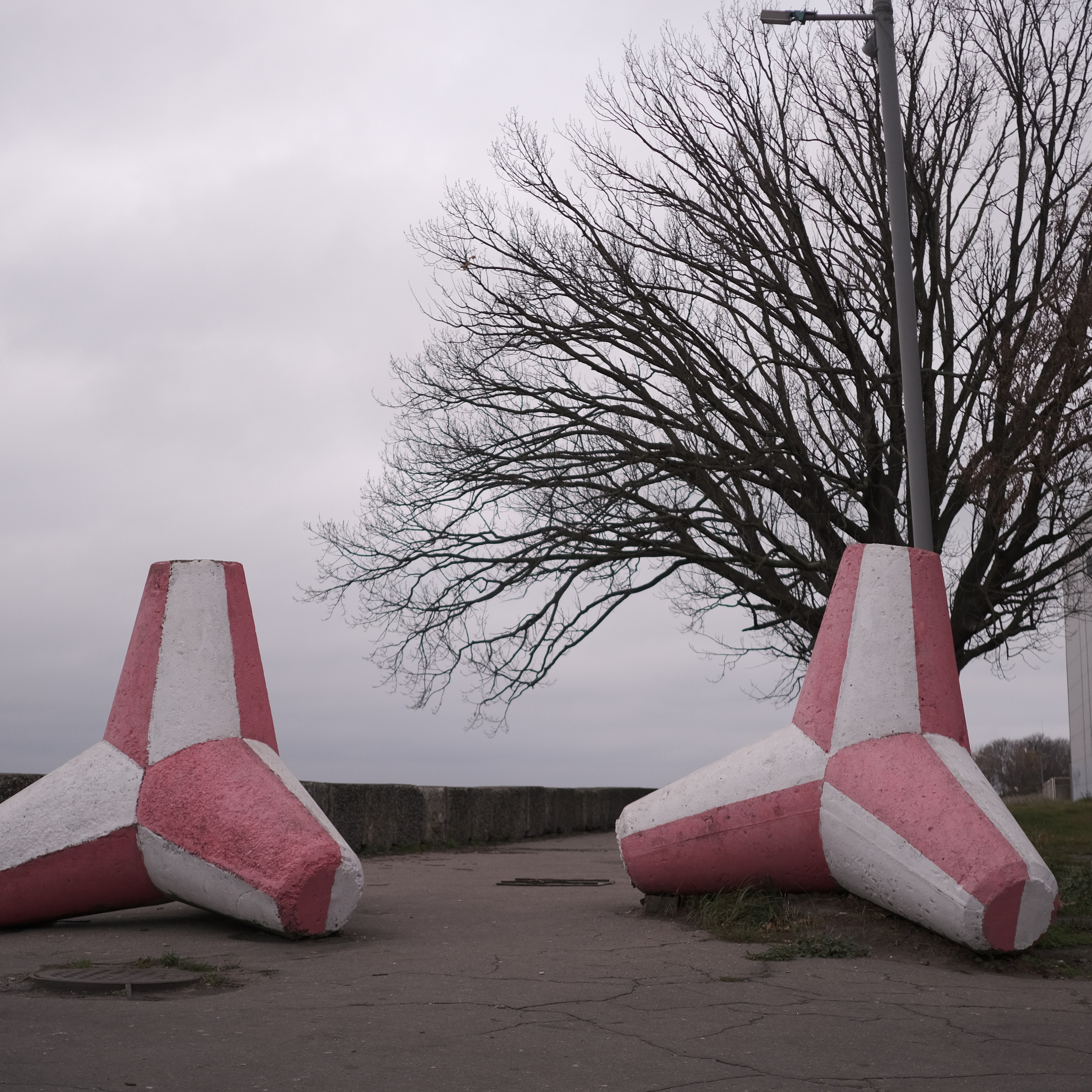 Калининград. LIYALEE PHOTO