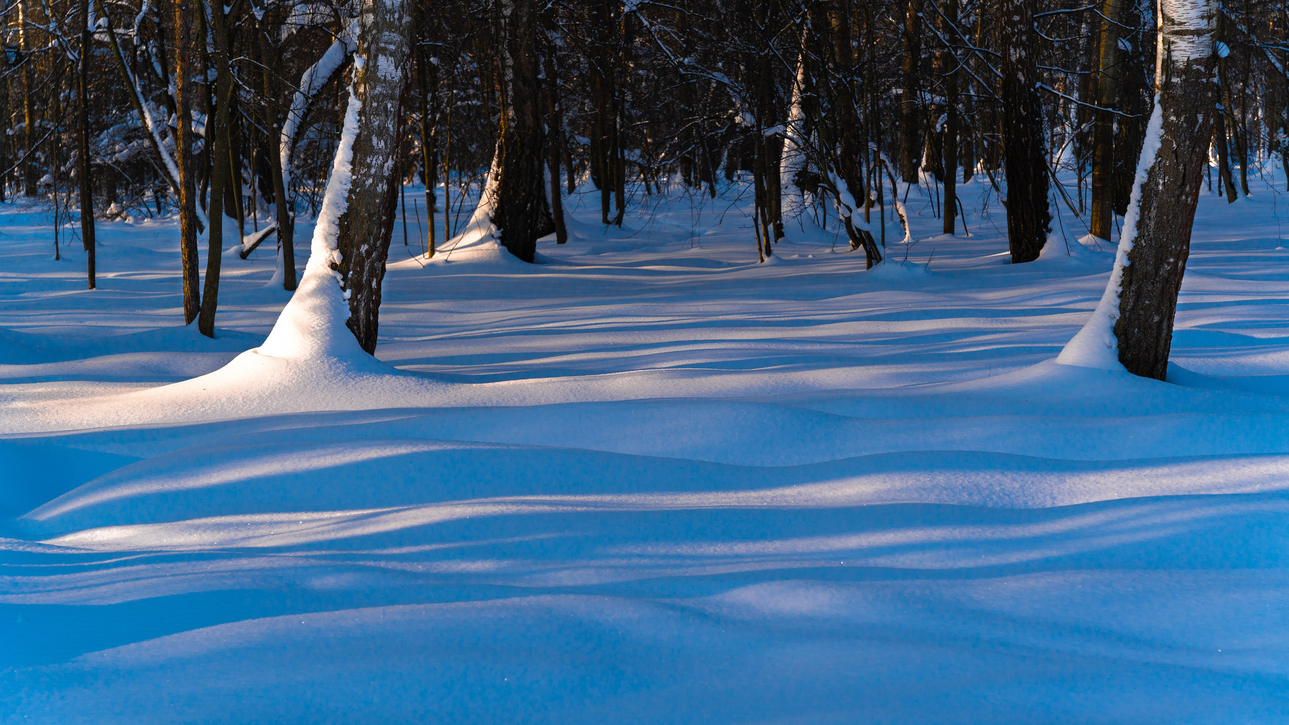 ПЕРЕДЕЛКИНО. ПОБУДЬ ЗДЕСЬ И ЦЕЛЕЕ БУДЕТ ЭТОТ МИР