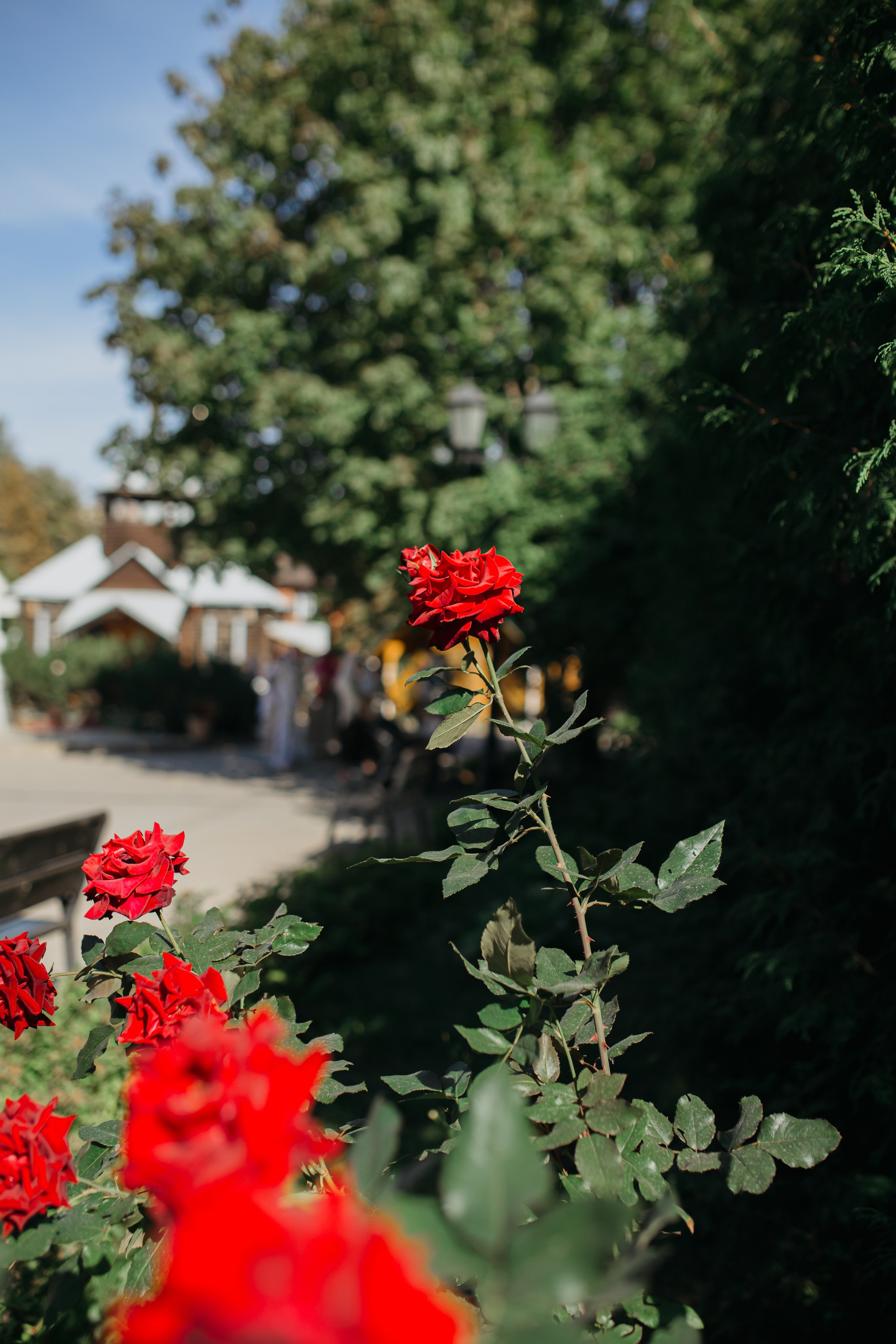 Храм святителя Иннокентия Московского г. Люберцы. Свадебный и семейный фотограф
