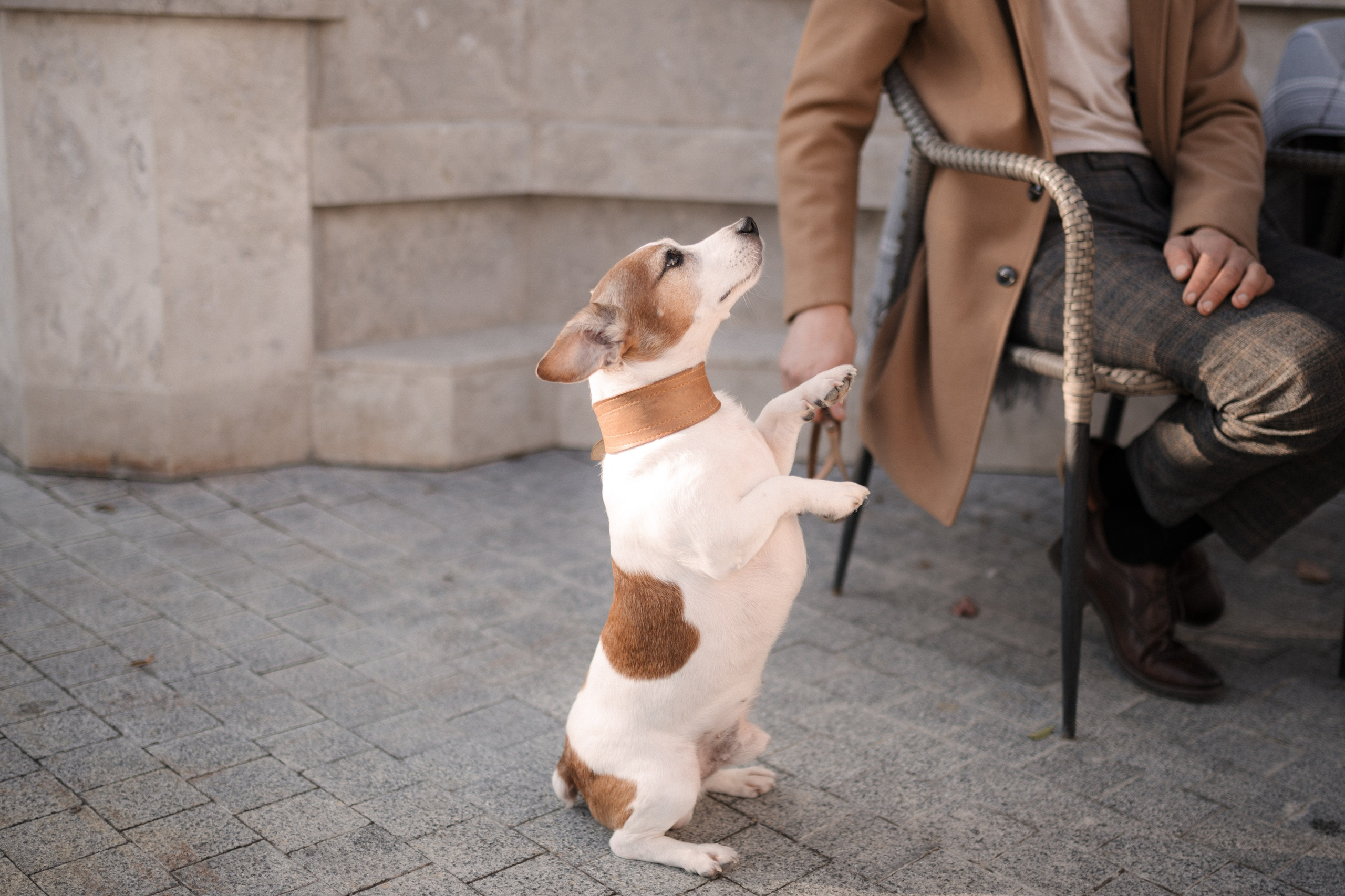 Истории любви. Свадебный и семейный фотограф в Севастополе и Крыму Алина Зорина