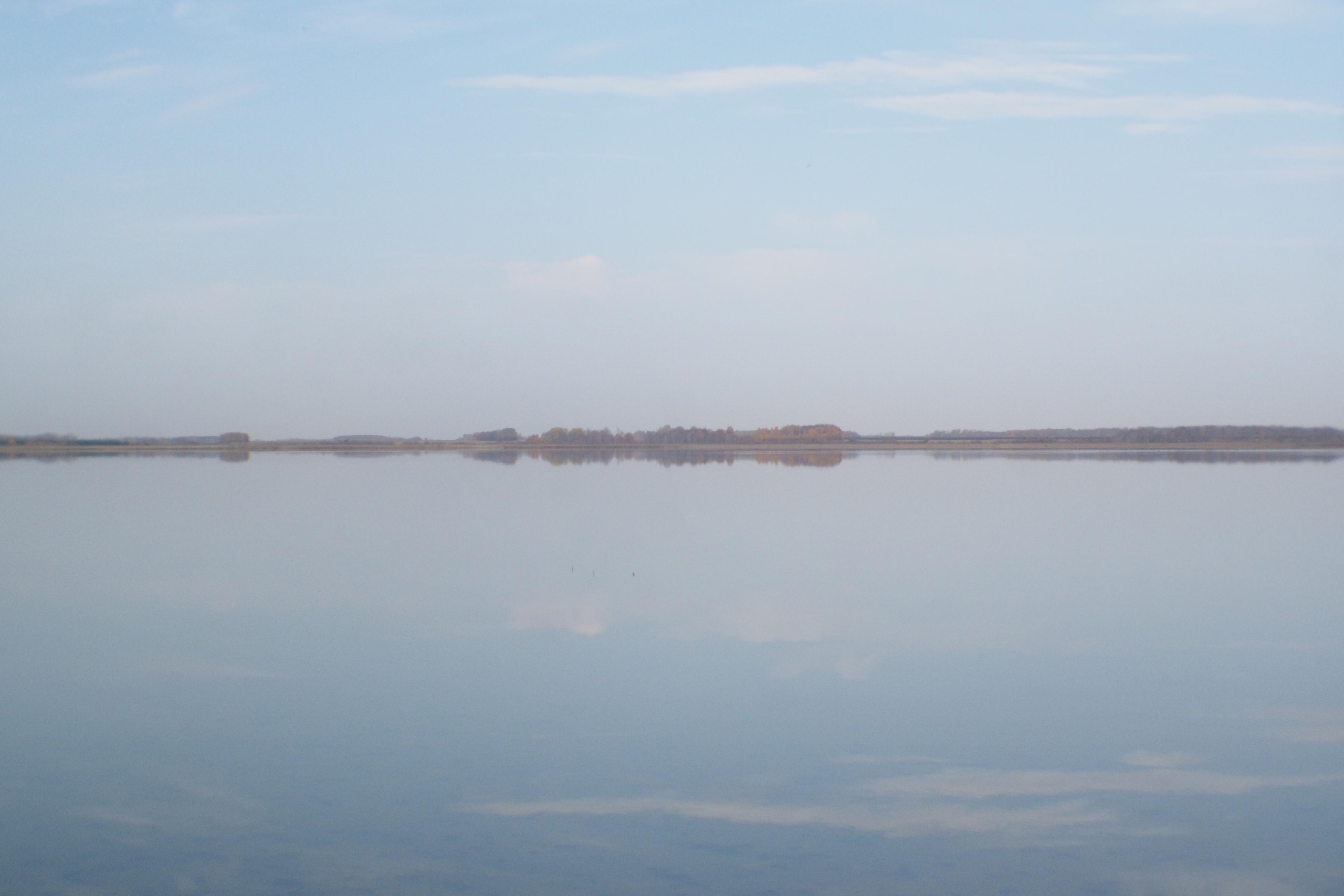 Этот прекрасный мир