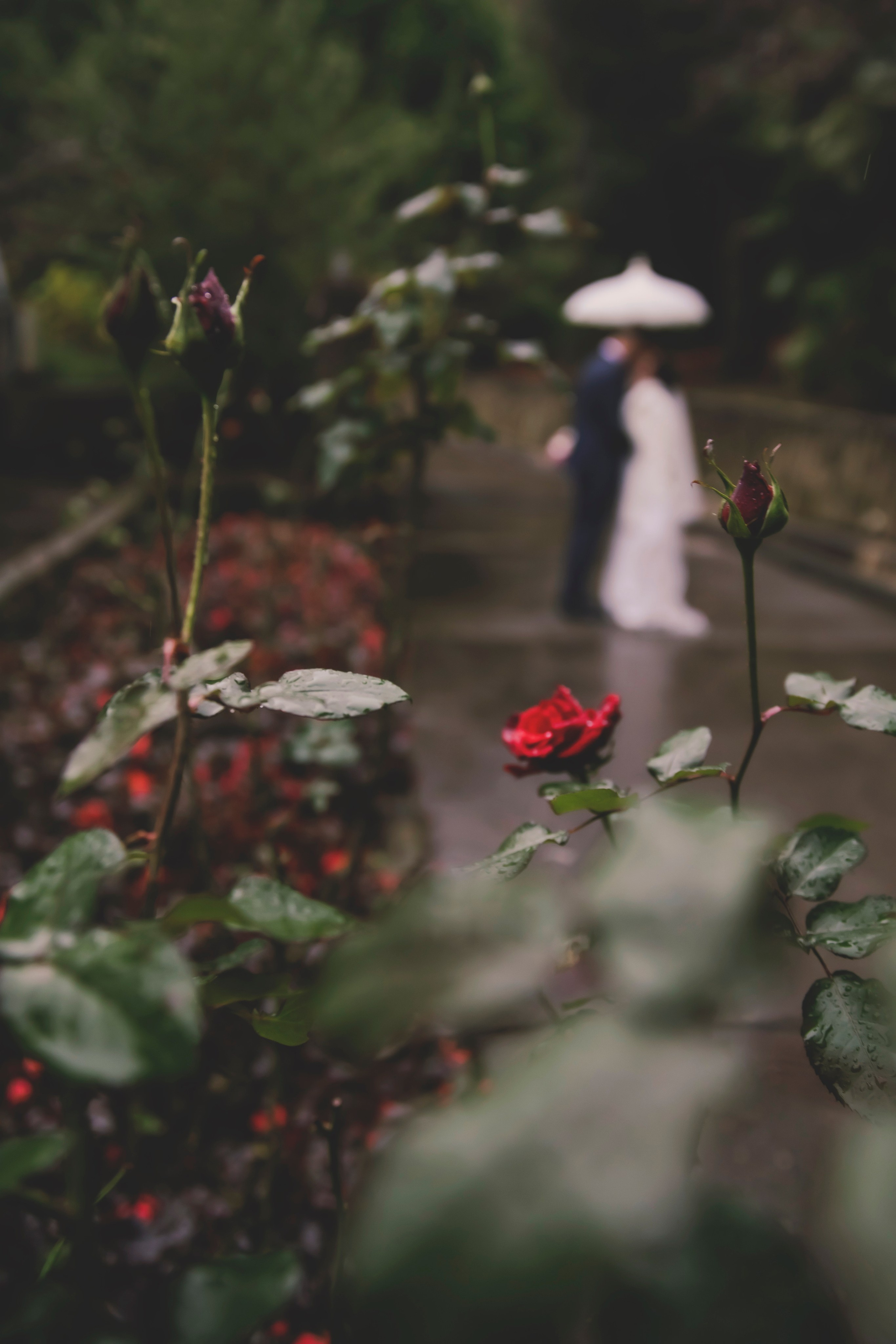 Анастасия и Виктор. Свадебный и семейный фотограф Колоскова Мария (Сочи и весь мир)