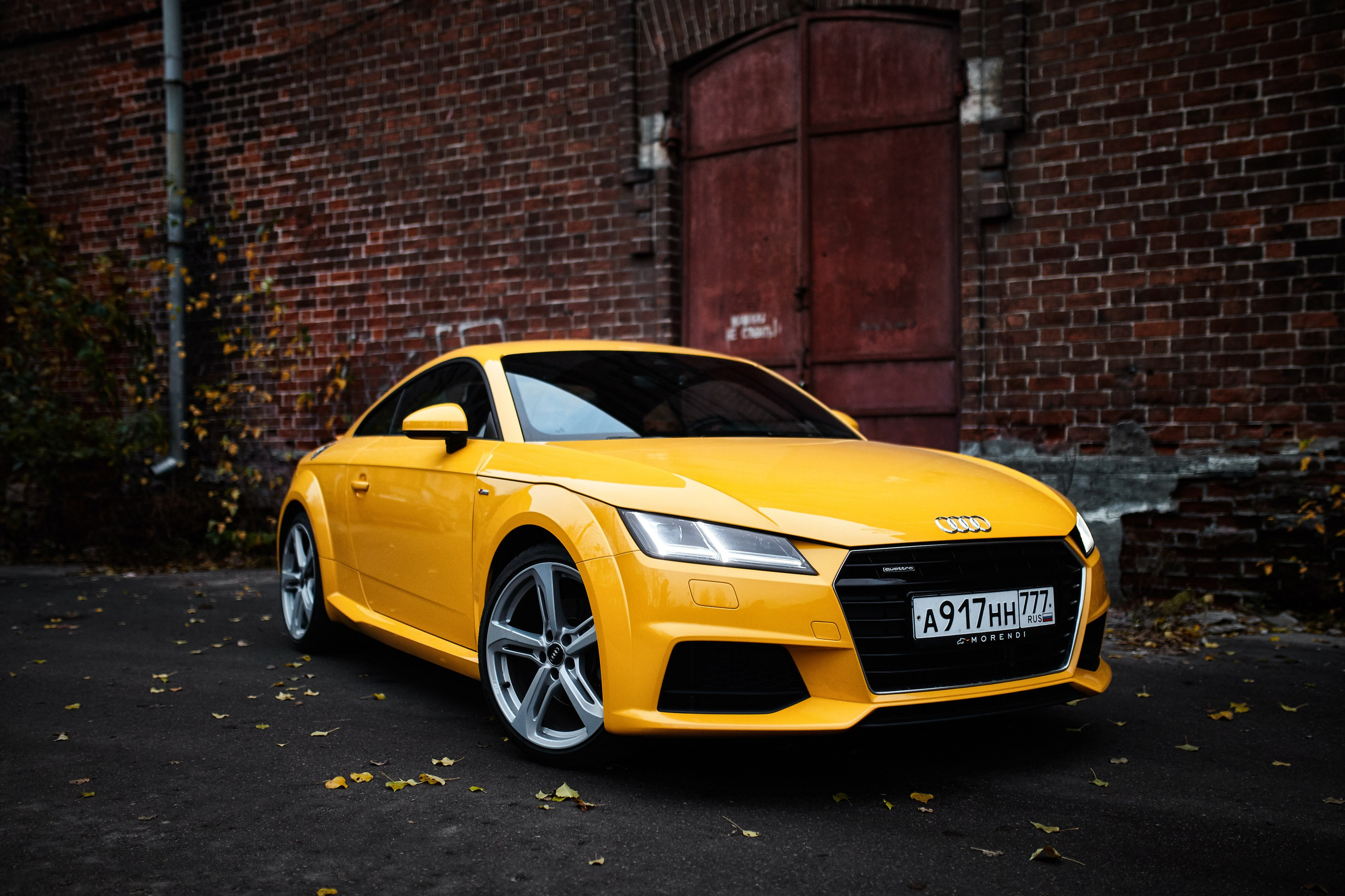 Audi TT. DKARPOCHEVA PHOTOGRAPHY