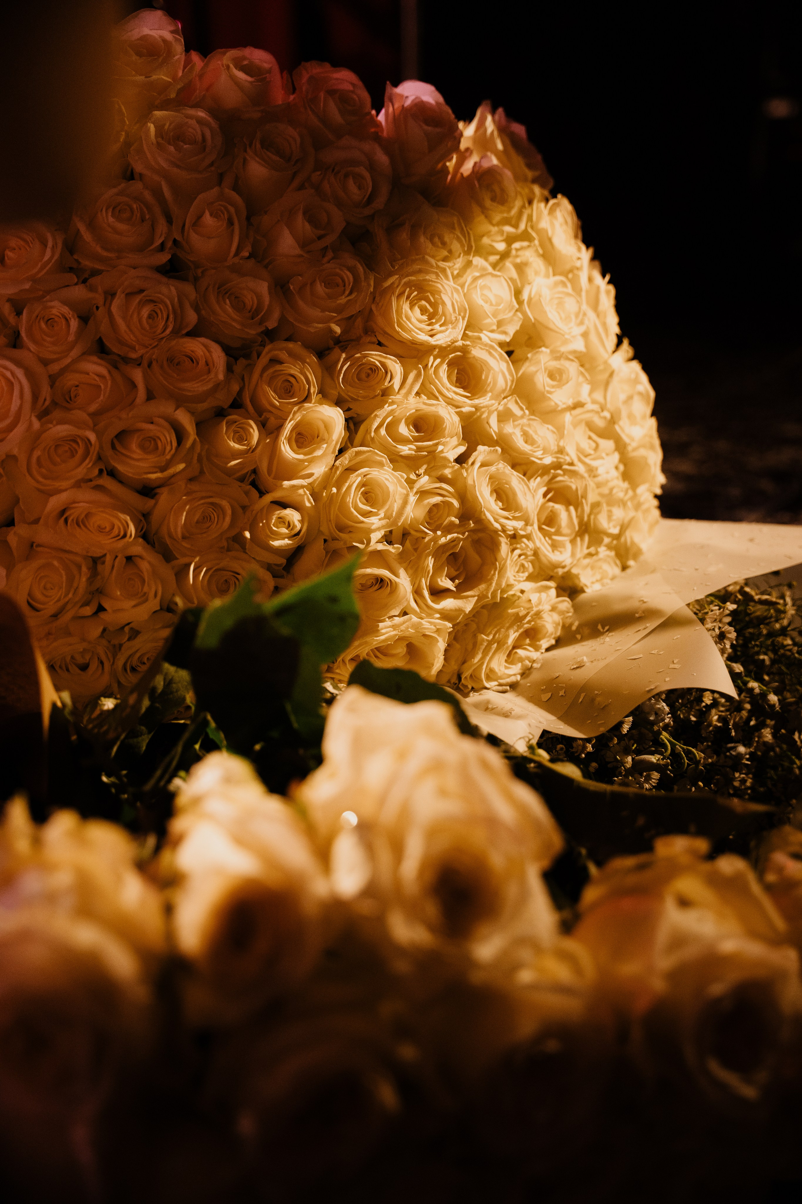 АСИЯ. Фотограф Москва