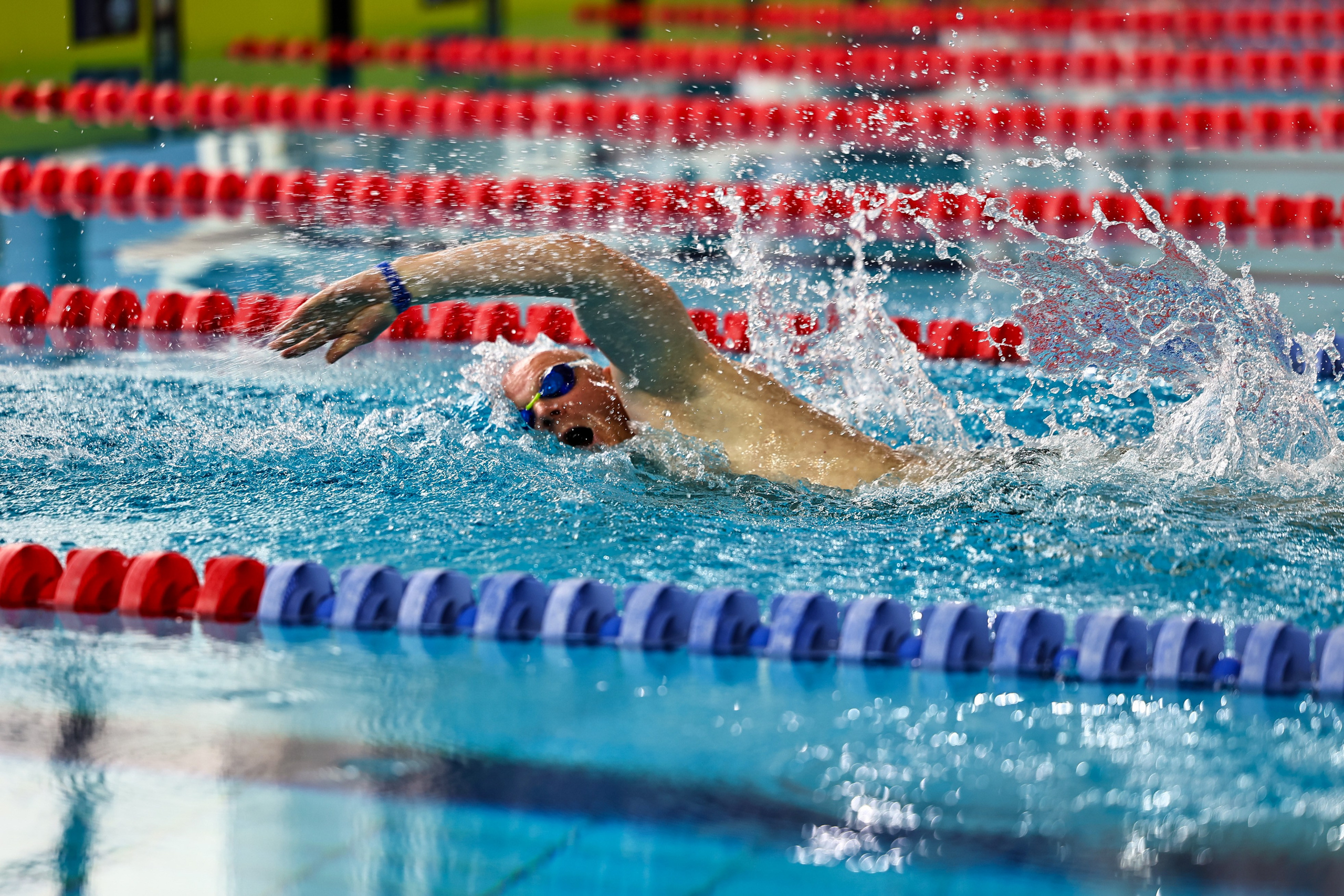 ДЗМ Плавание 2026. Фототерапевт Ева Бунеева
