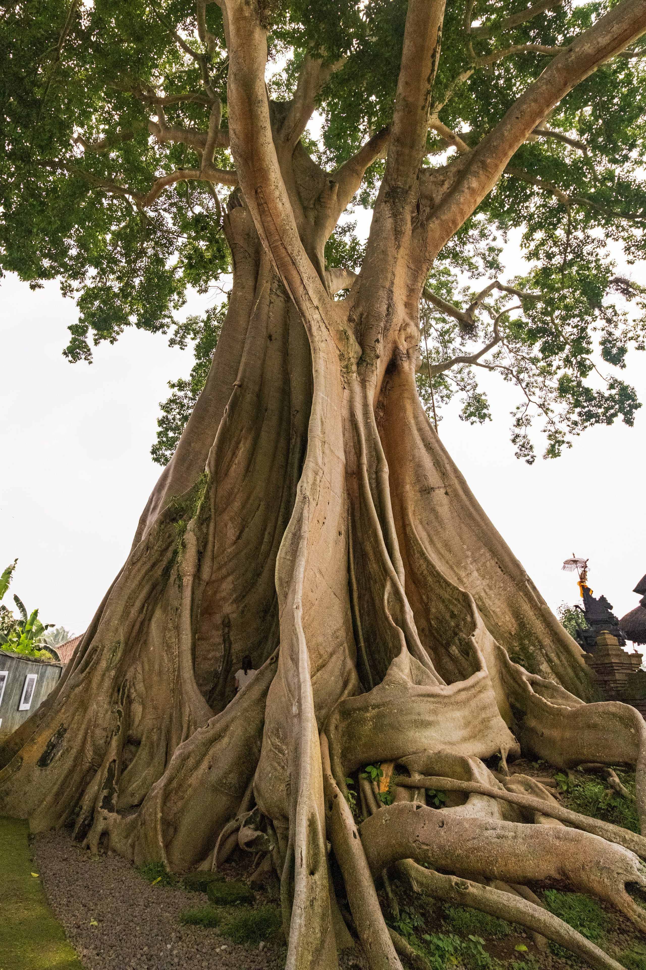 Остров Бали. Фотографии из путешествий