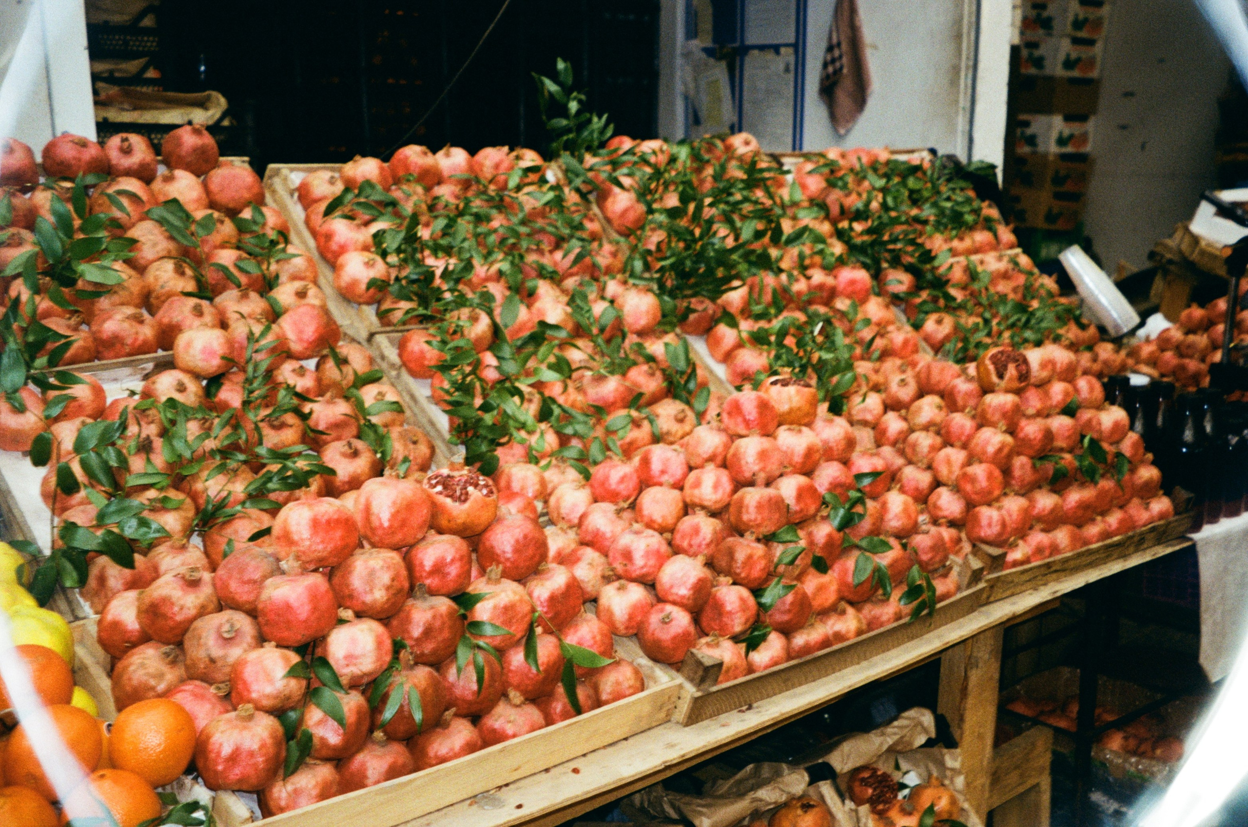 Пленка. Главная