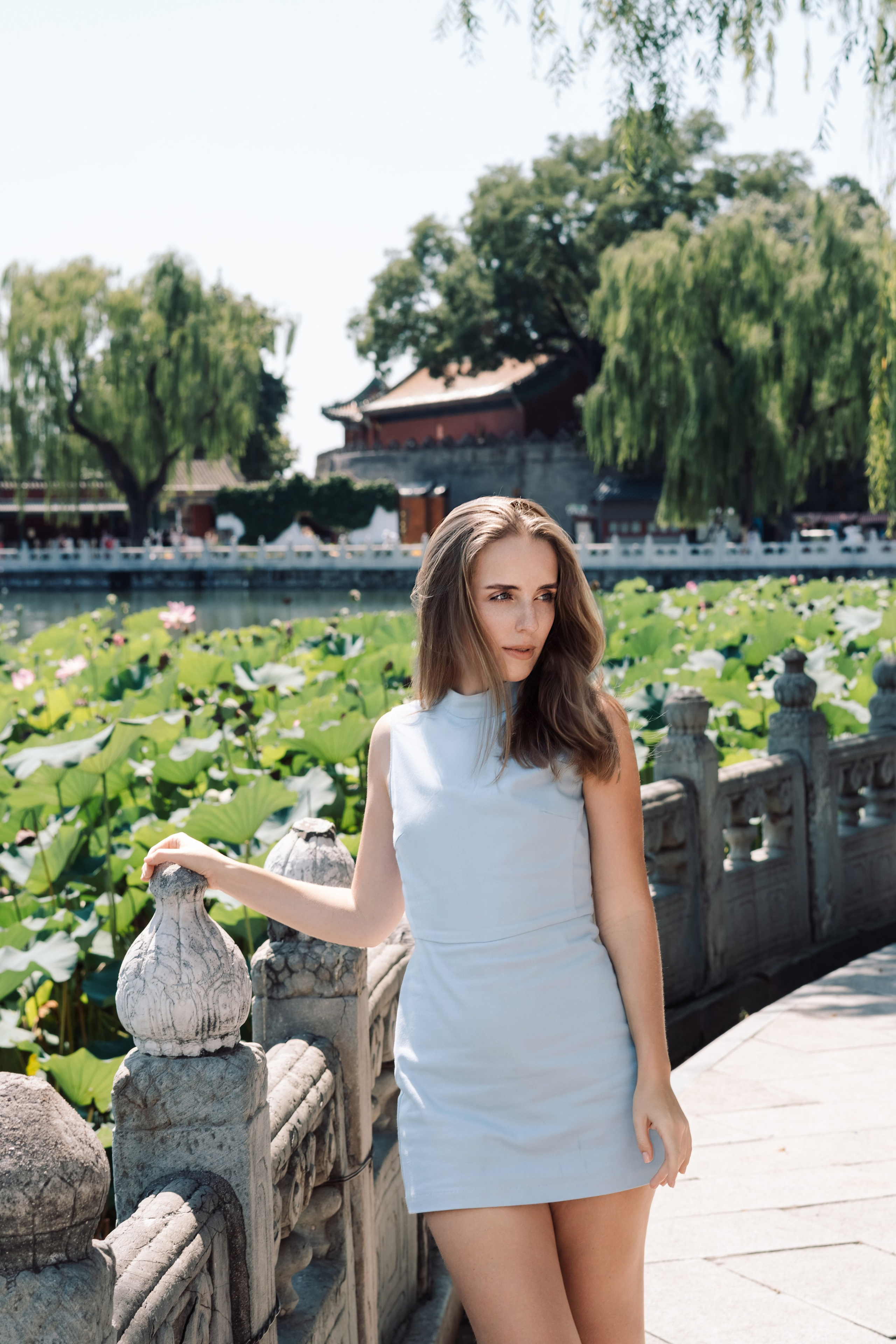 Фотосъемка в Бейхай парке летом