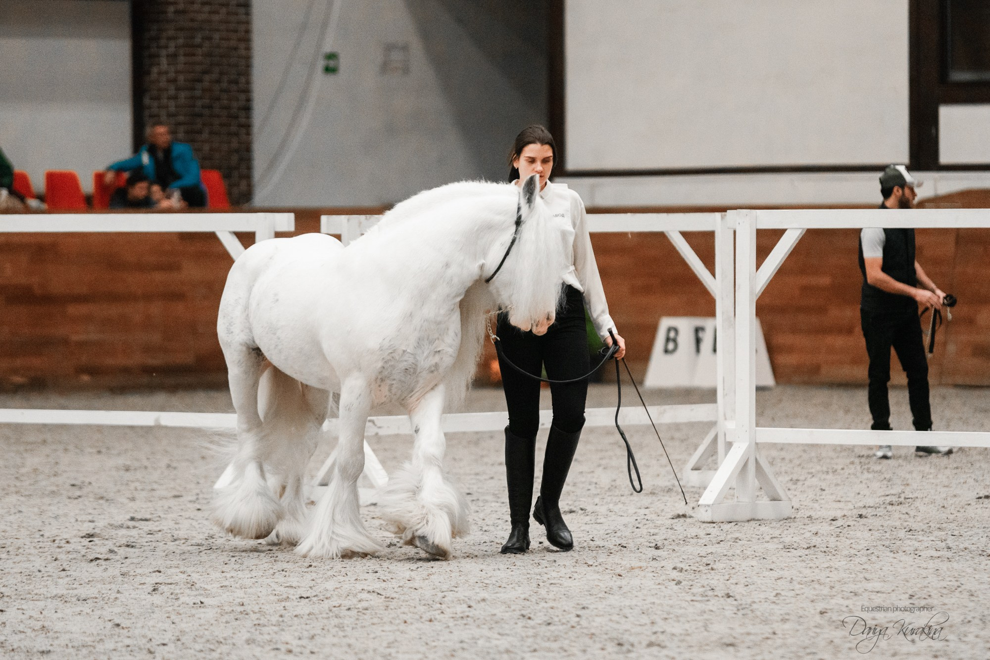 8-я международная выставка Конная Россия. Конный фотограф Куракина Дарья • Фотосессии с лошадьми