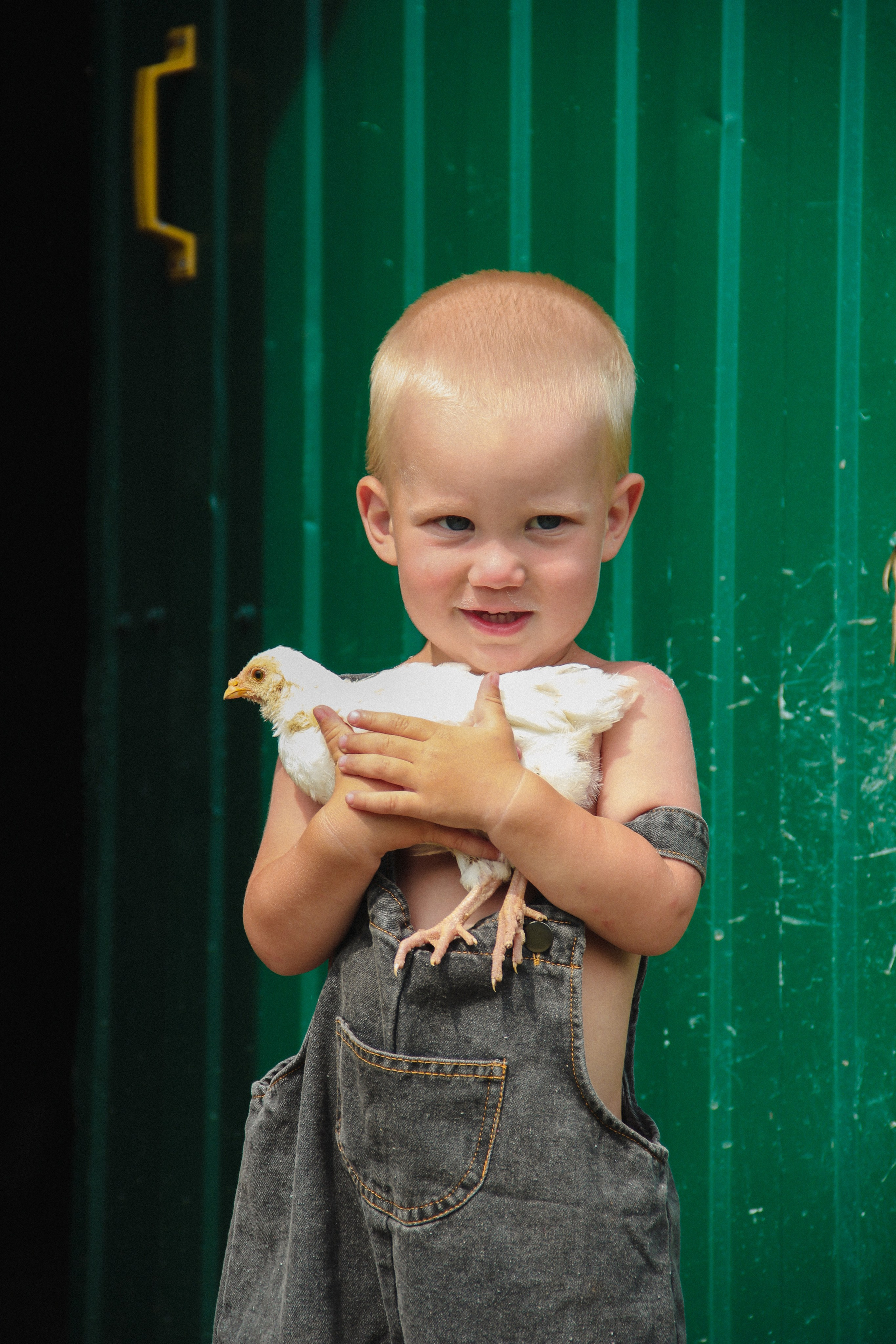 Farm photos. Главная