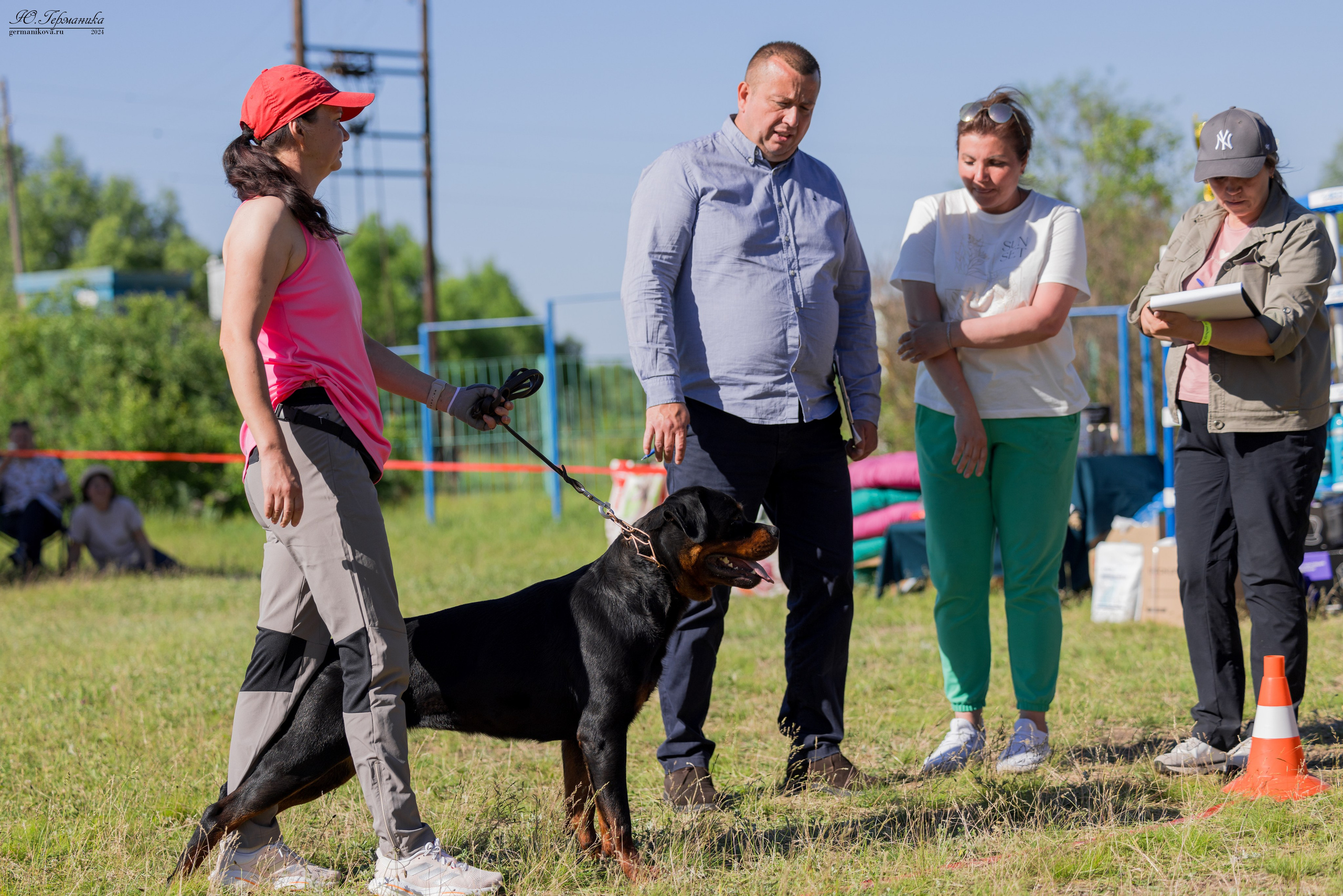 Воронеж моно ротвейлеров 25-26.05.2024. Фотограф-анималист Юлия Германика