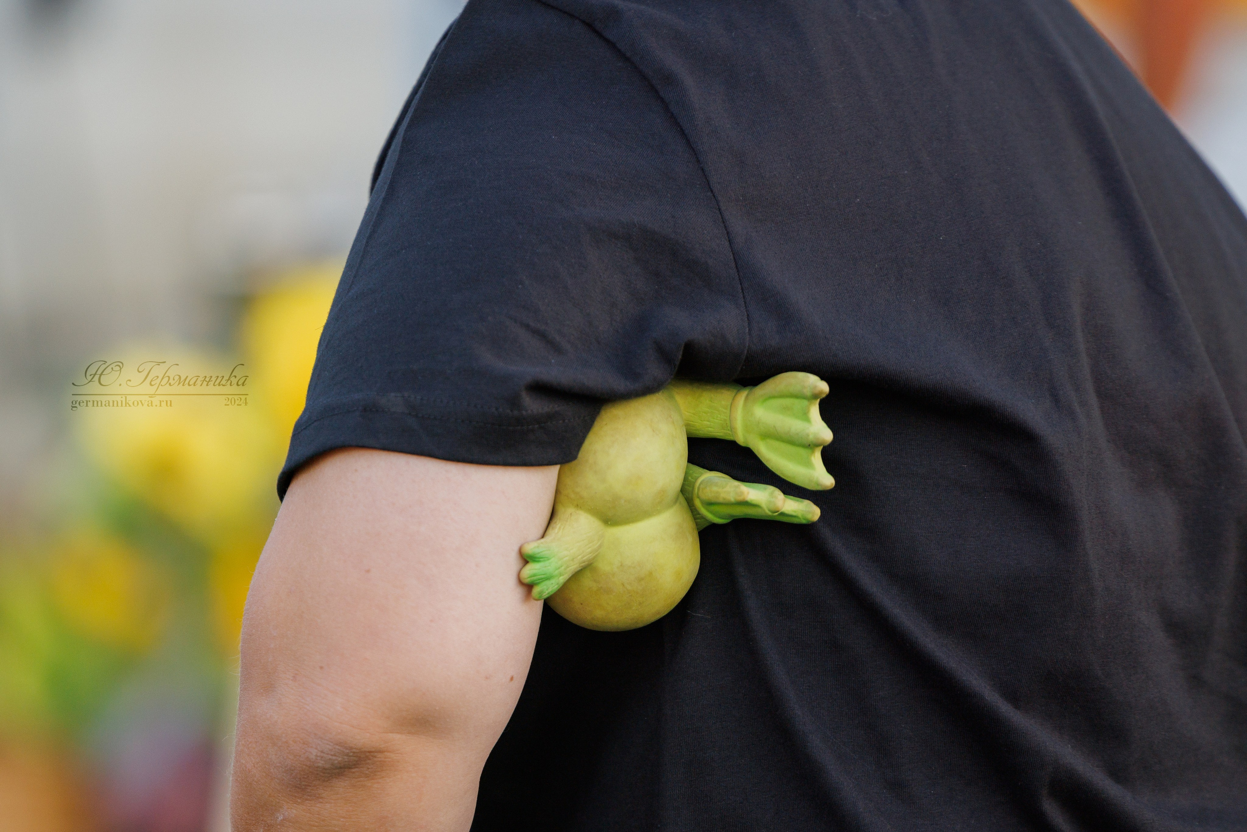 Анапа ротвейлеры 14-15.09.2024. Фотограф-анималист Юлия Германика