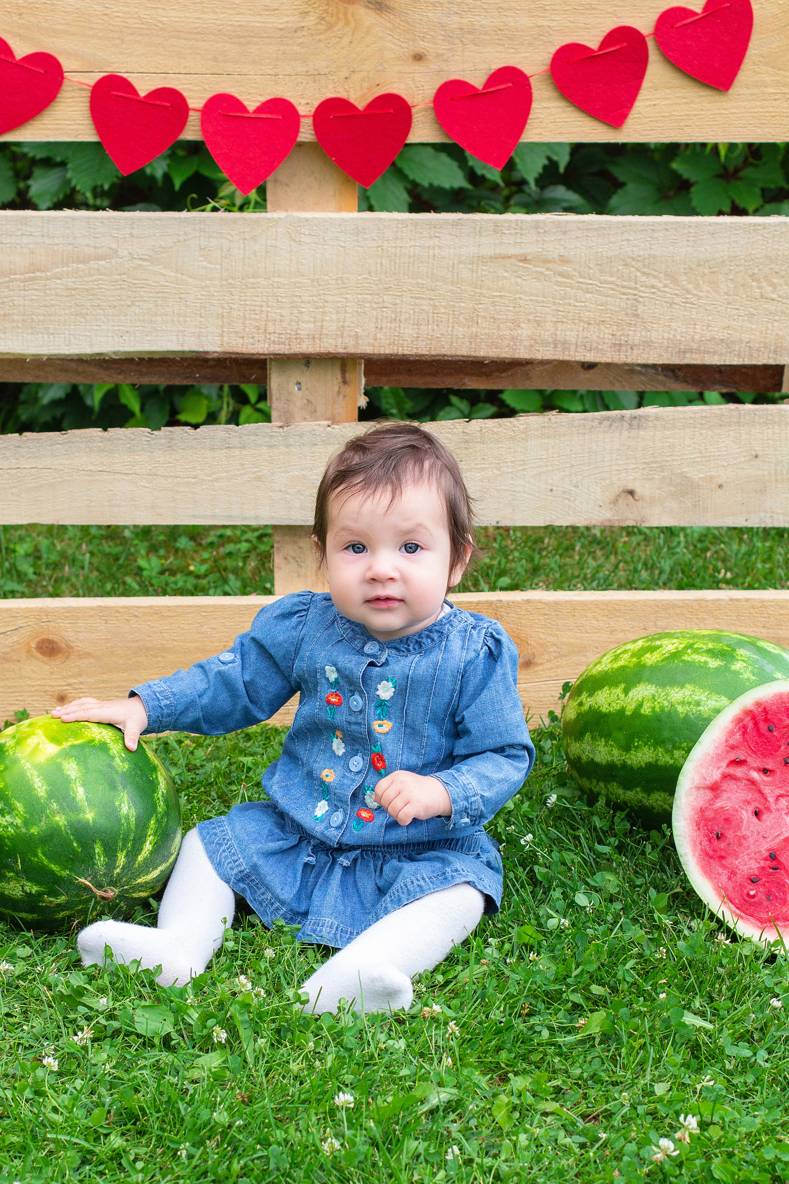 Фото-проекты (тыквенный, арбузный, весенний). Детский и семейный фотограф в Москве и МО