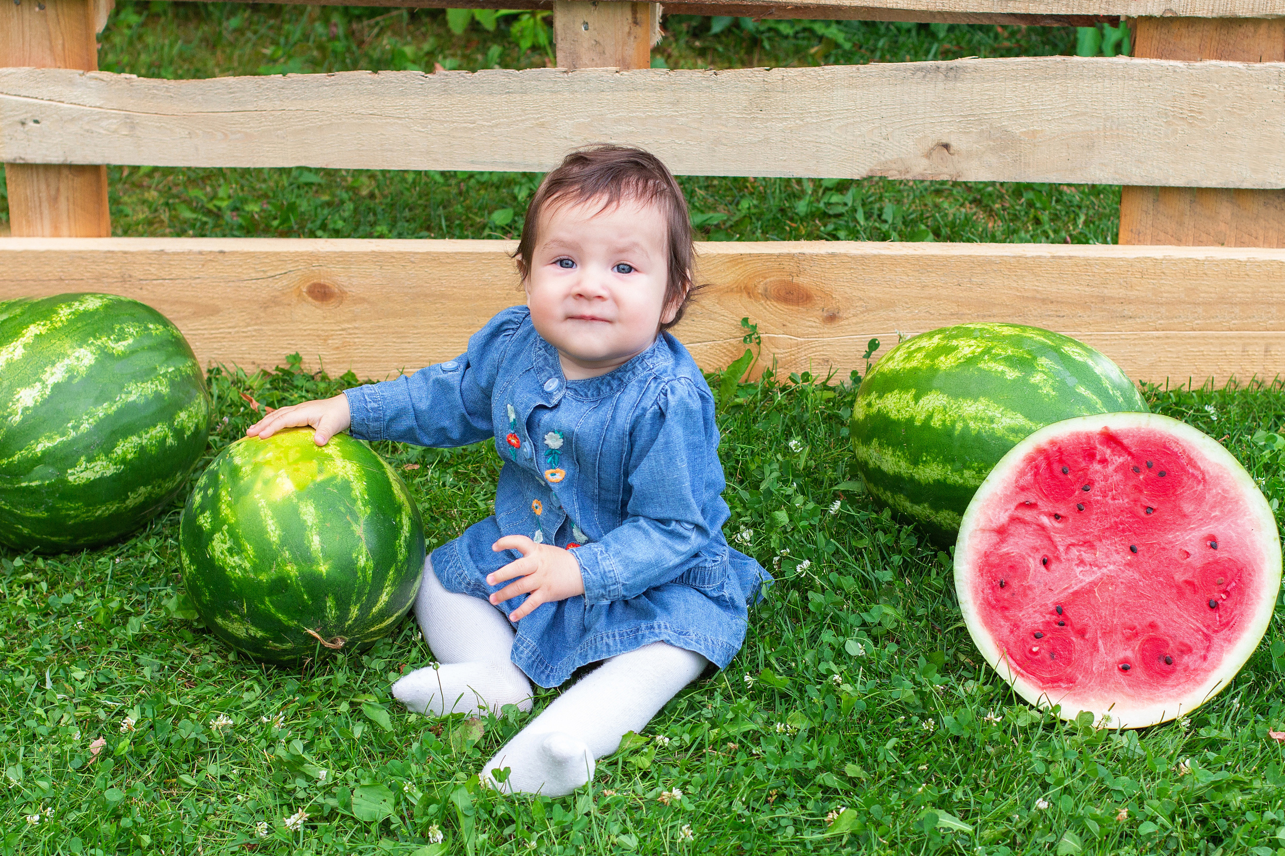 Фото-проекты (тыквенный, арбузный, весенний). Детский и семейный фотограф в Москве и МО