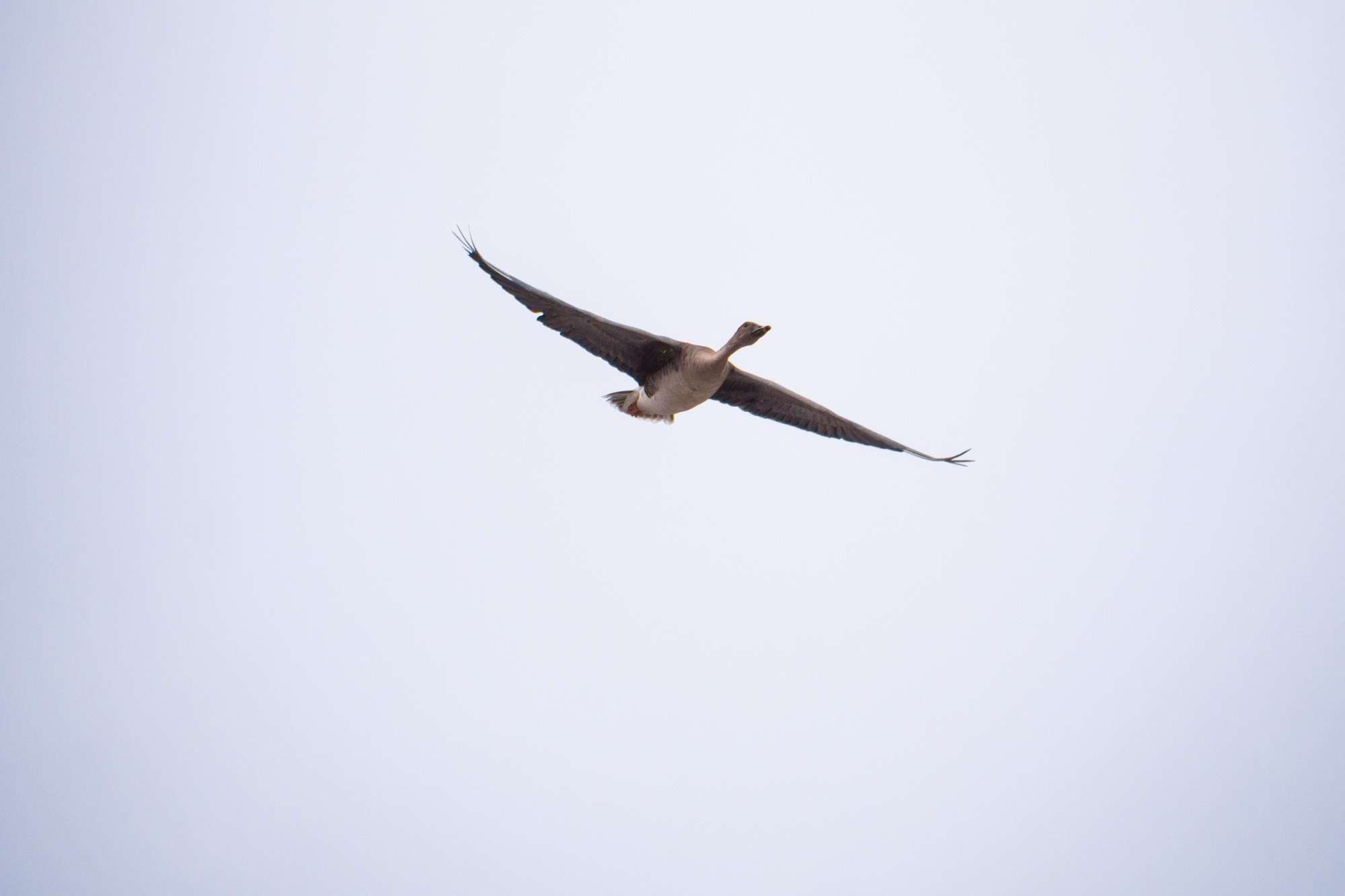 Якутия. Фотограф Алексей Скоробогатько