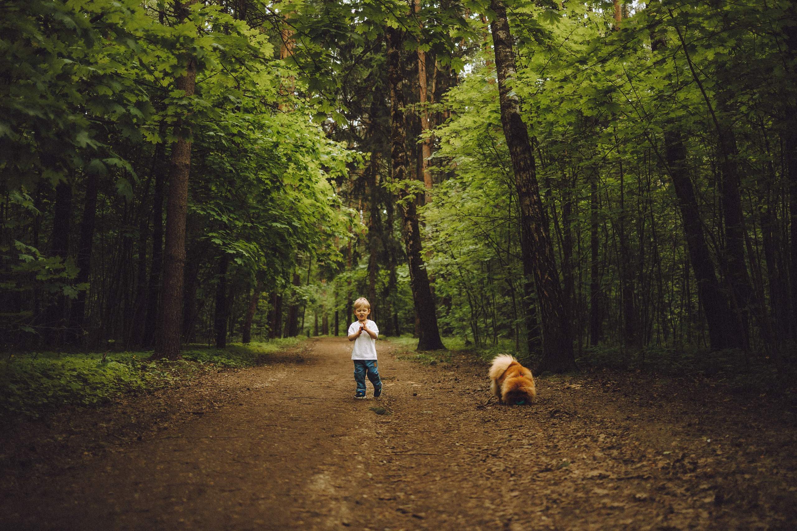 Лорик и его семья