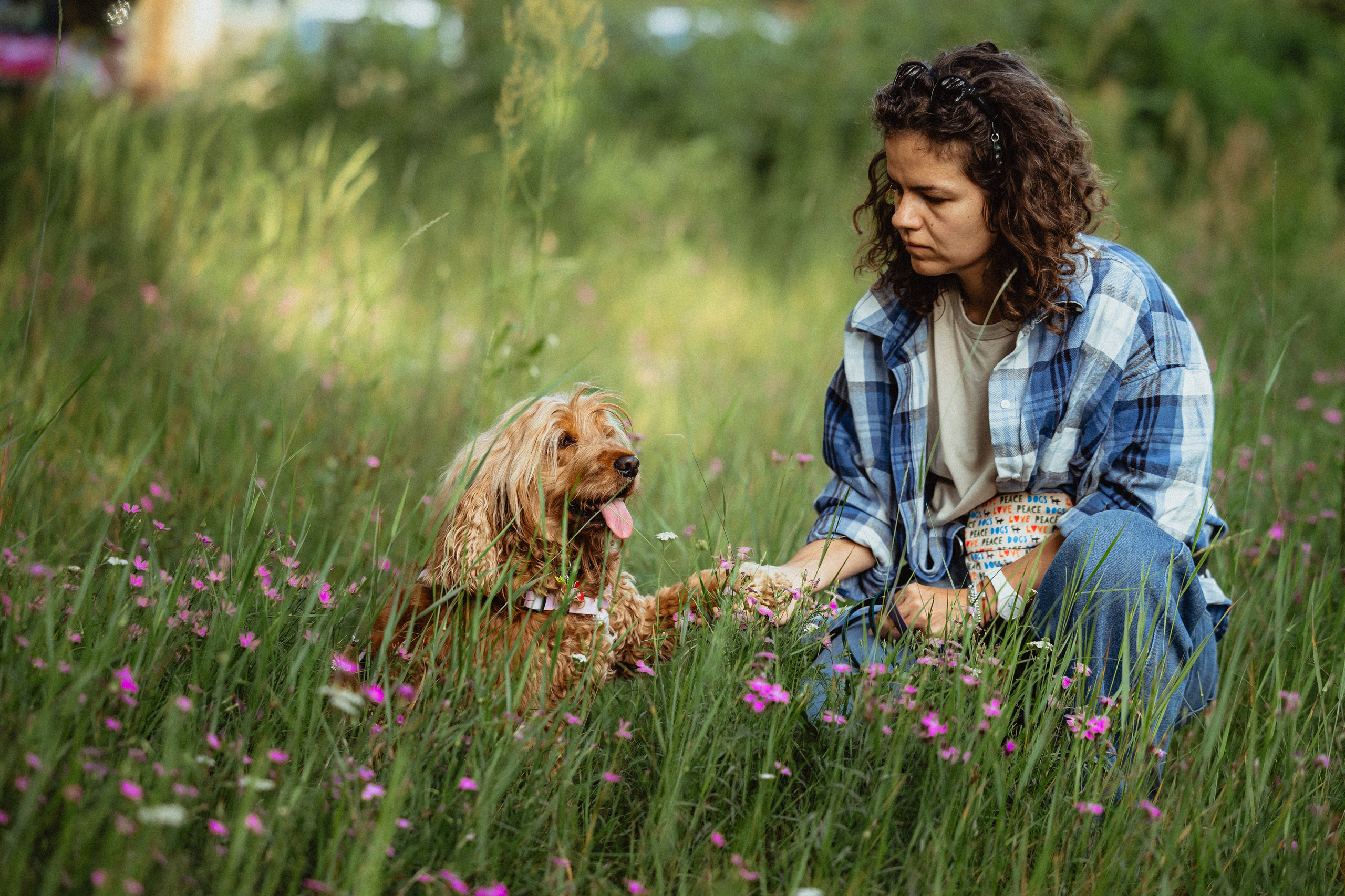 Выездной дог-тренинг от школы «Шерсть имею»