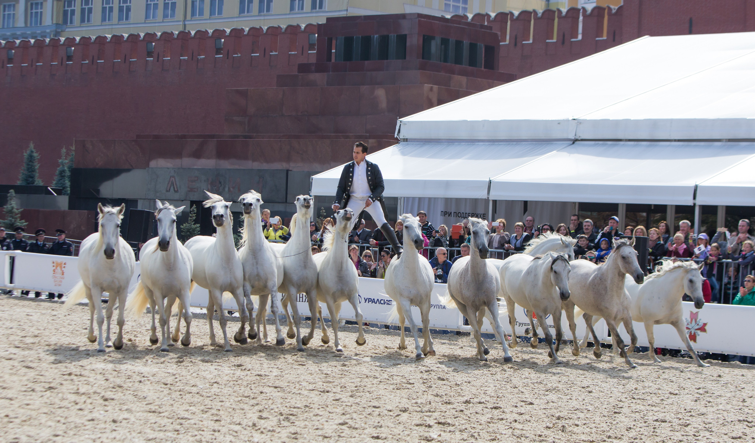Спасская башня 2014 — Школа верховой езды. Балетный фотограф Москва Майоров Николай