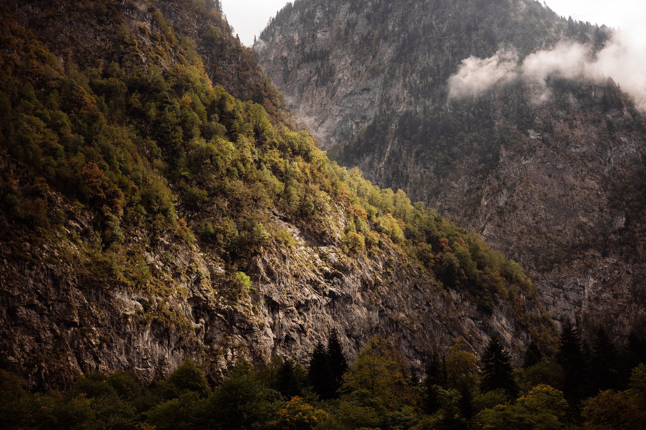 Рита (Абхазия). Семейный свадебный фотограф Семен Егоров