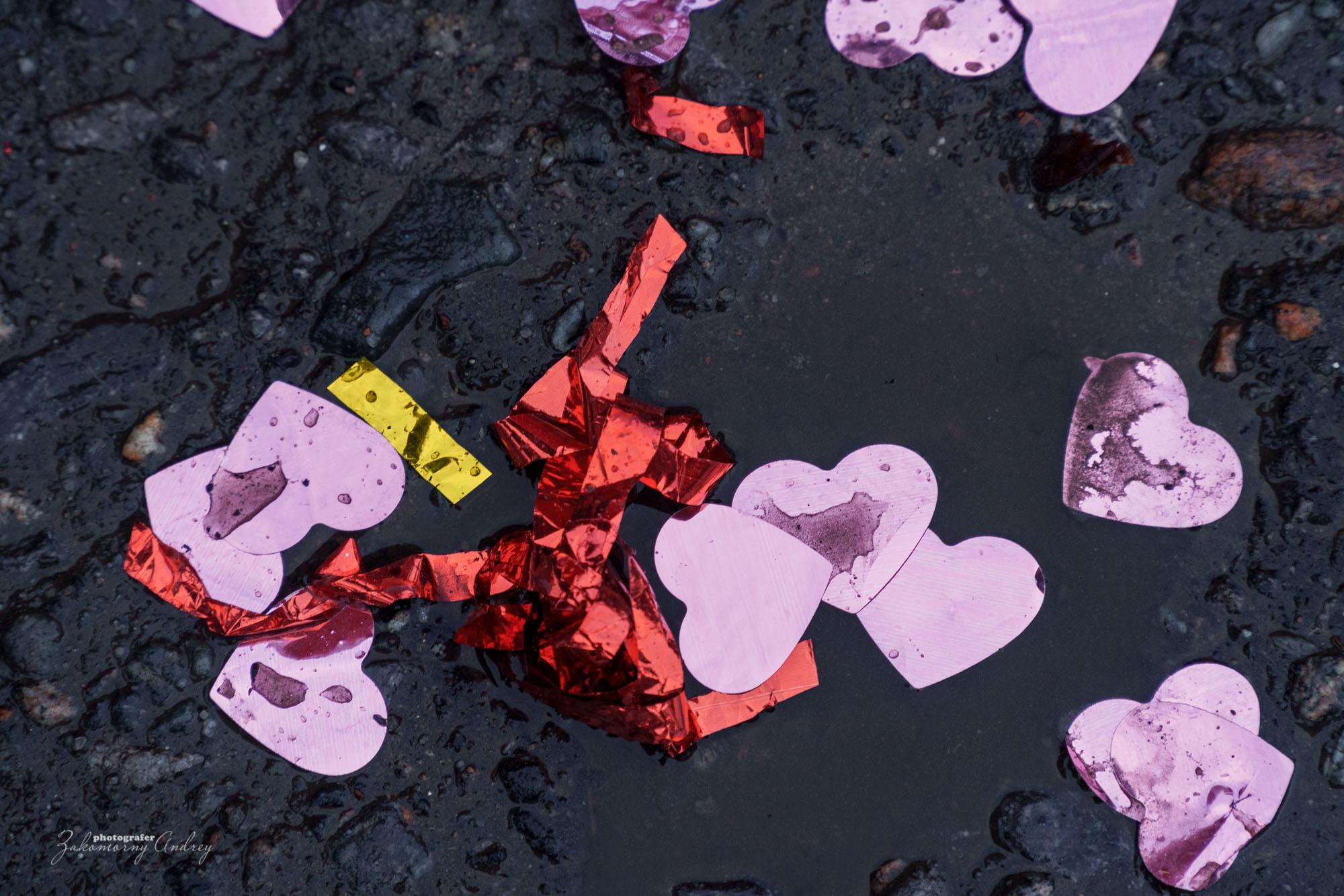 Репортажная фотосъёмка. Фотомастерская Андрея Закоморного