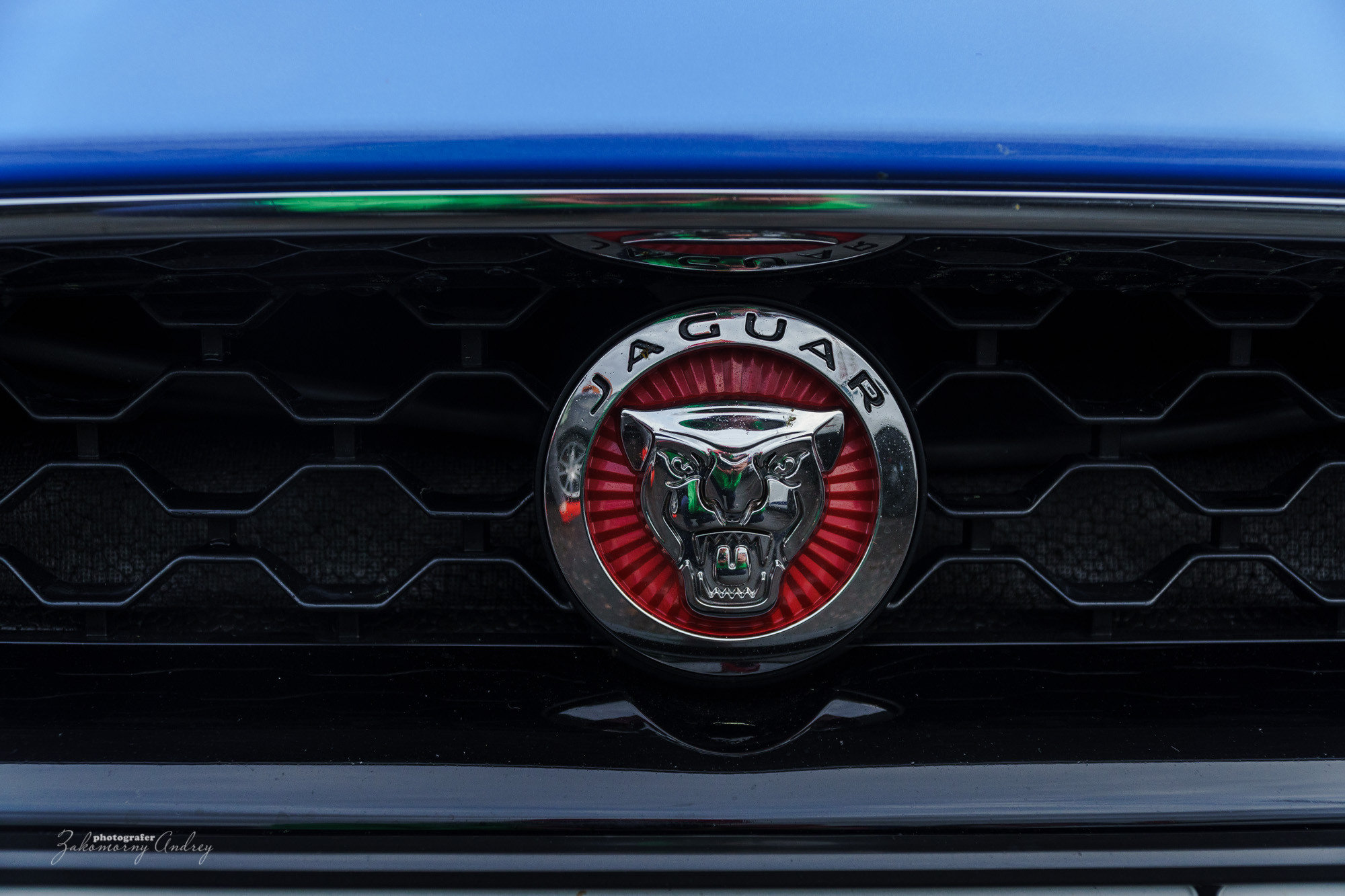 Репортажная фотосъёмка. Фотомастерская Андрея Закоморного