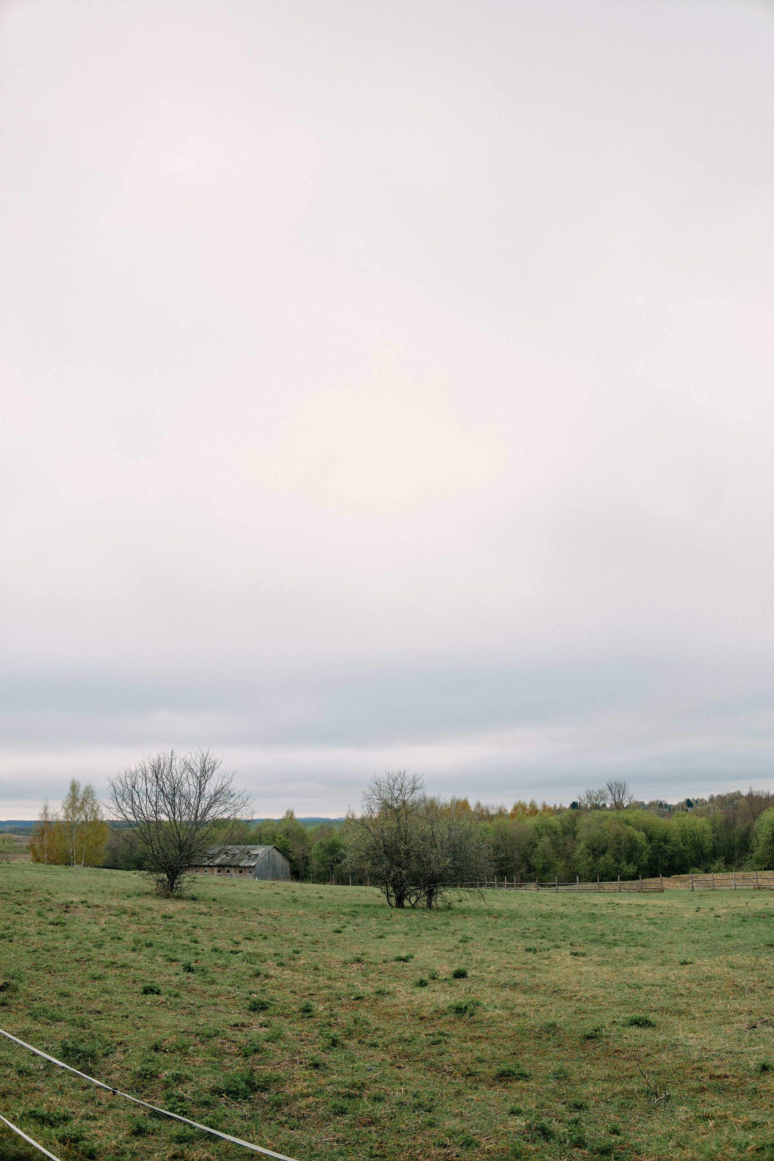 Бутик-отель Поле летом. Профессиональный Фотограф во Владимире, в Москве и в Суздале — Полина Романычева