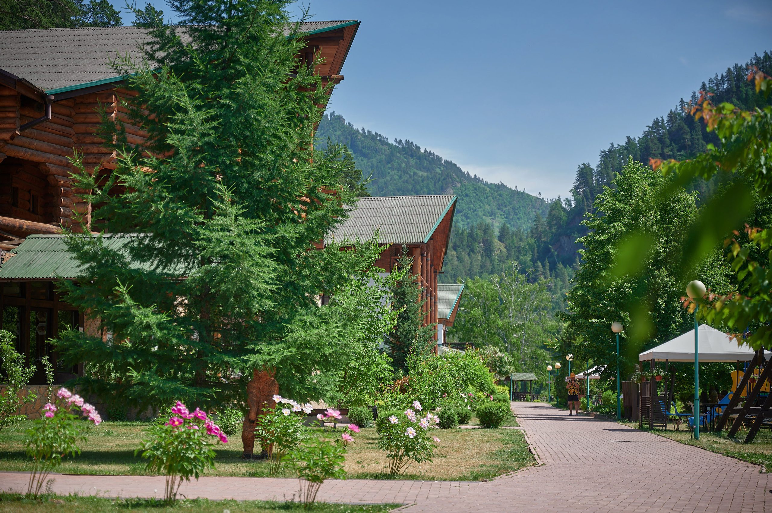 Общее портфолио. Фотограф Барнаул Горный Алтай