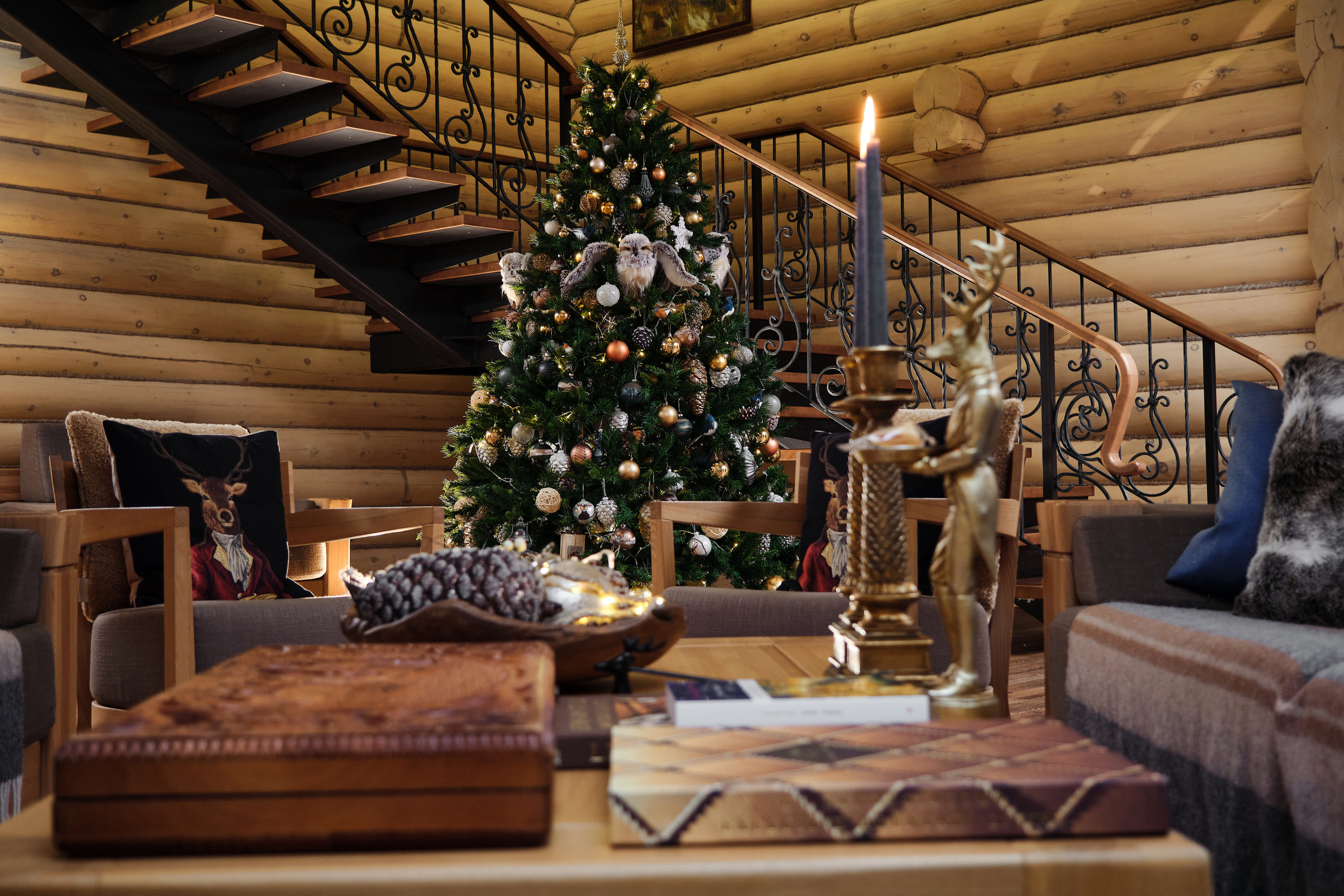 Общее портфолио. Фотограф Барнаул Горный Алтай