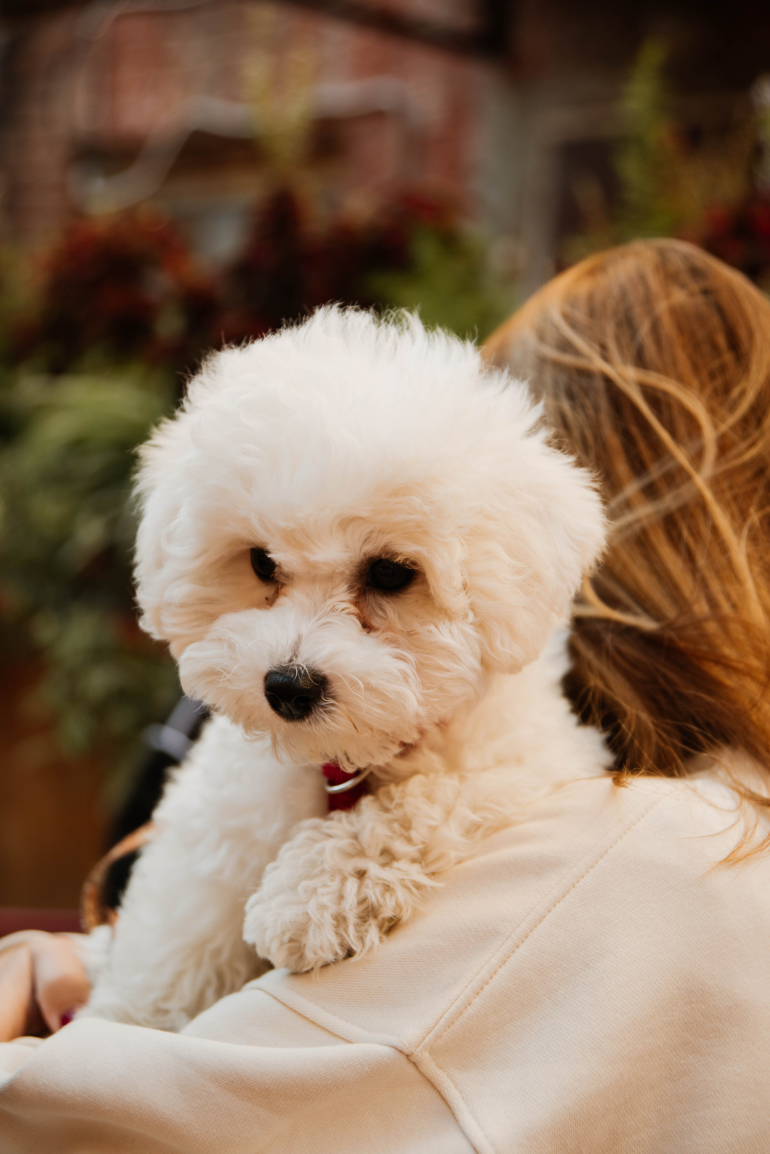 Дог-вечеринка на летнике «Кутёж». Ксения Glossa. Портретный и репортажный фотограф в Самаре