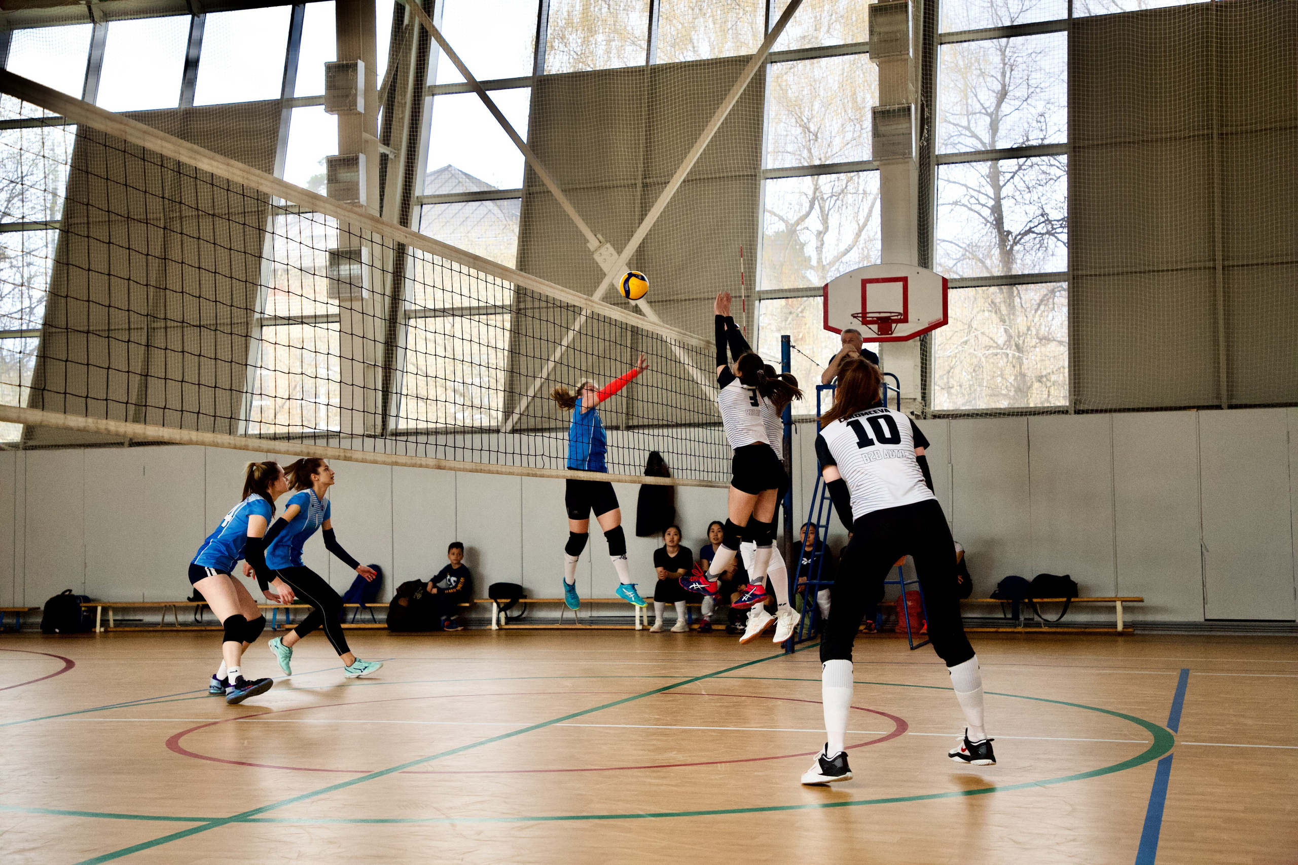 Волейбол. ДВЛ. МВЛ. ШВЛ. ЛВЛ. ЖВЛ. Школьные выпускные альбомы в Москве Марина Николаева