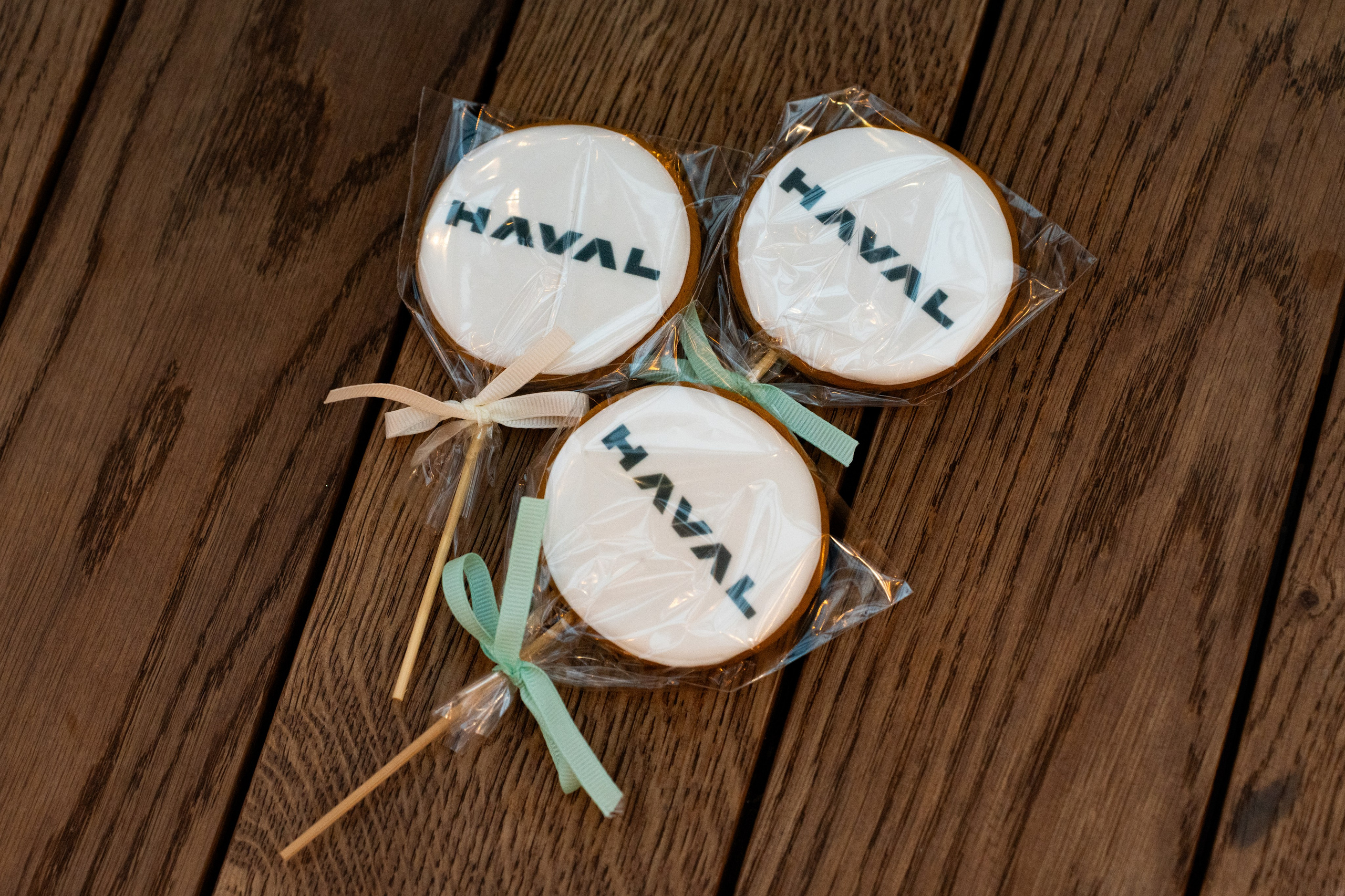 HAVAL S-Peterburg. Безрукова Юлия Art | EVENT Фотограф Москва